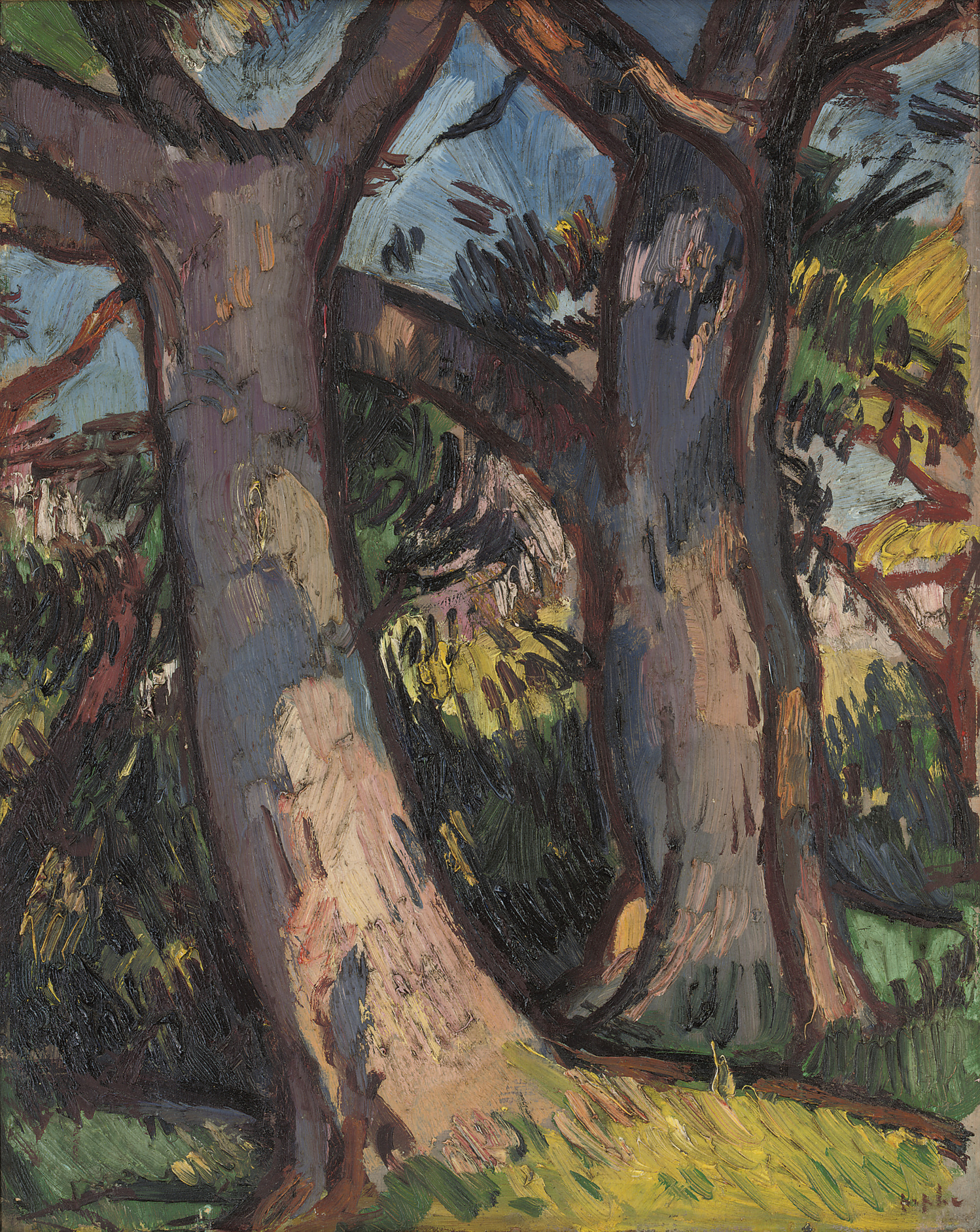 Samuel John Peploe — Деревья в Дуглас-Холле
