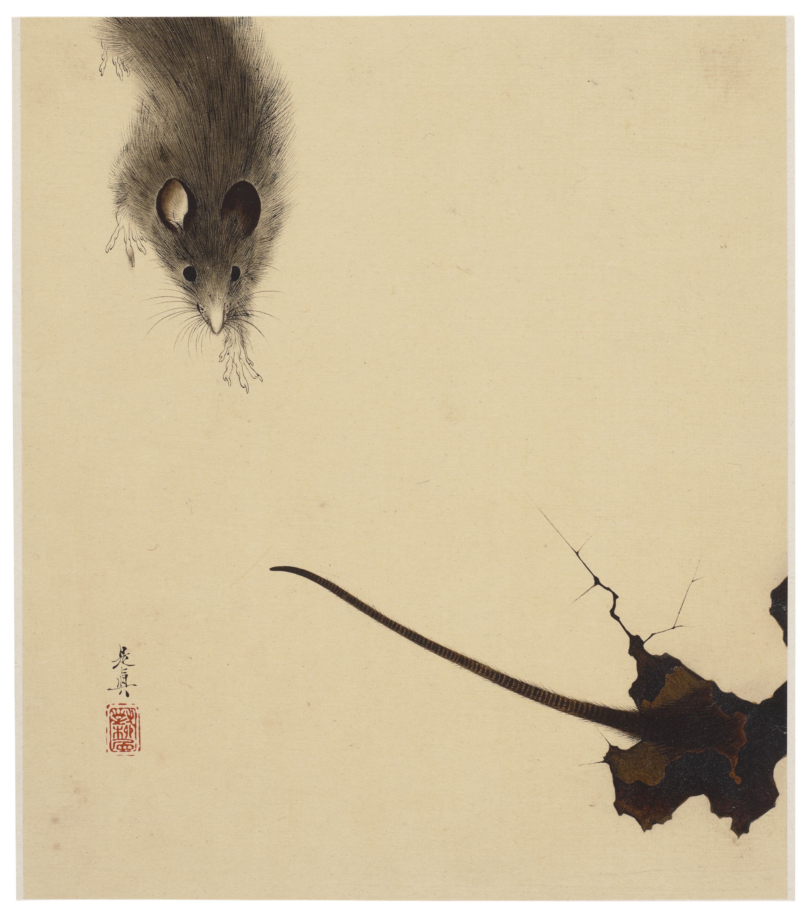 Shibata Zeshin — Пейзажи, растения и животные четырех времен года, изображение 17
