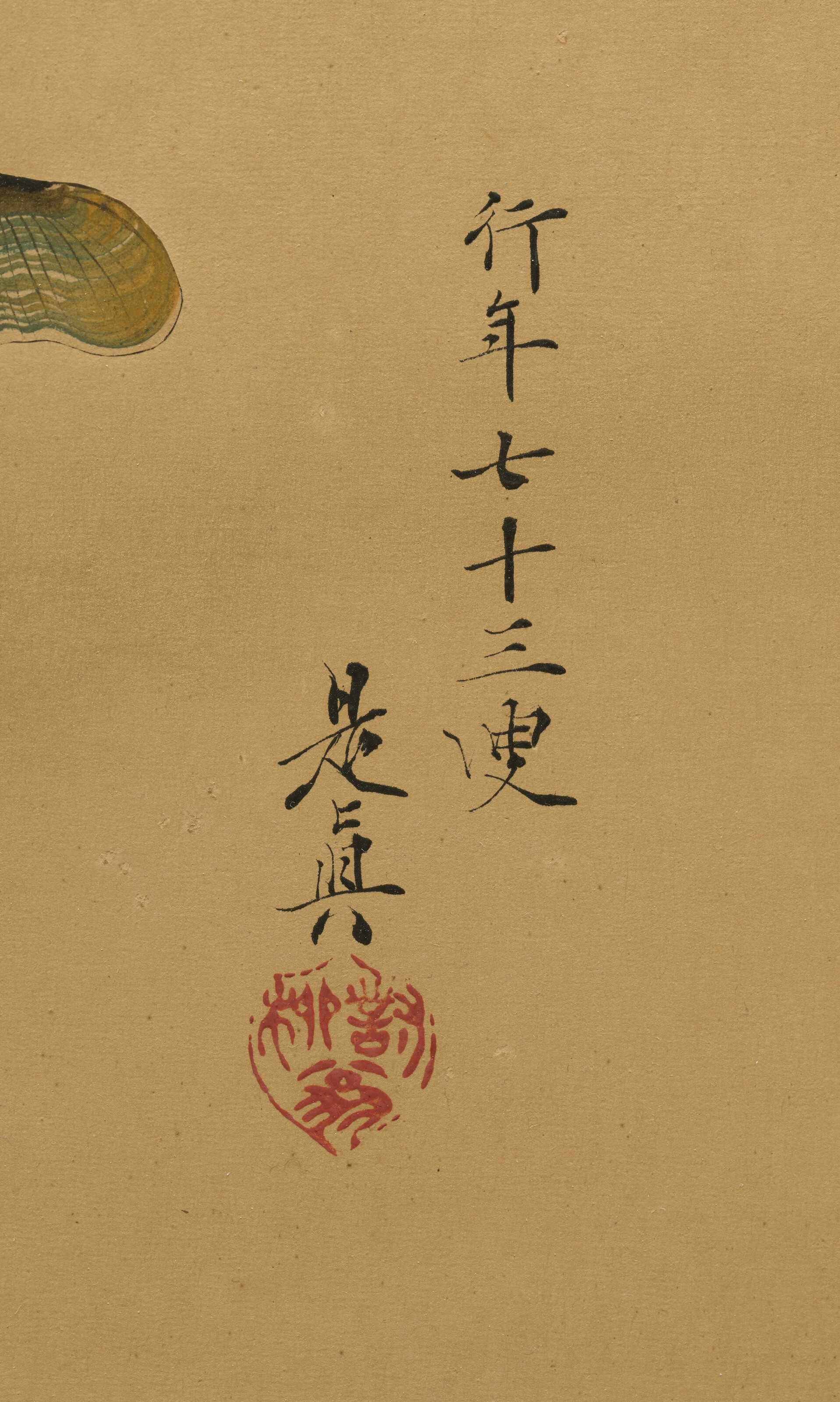 Shibata Zeshin — КОКЕТКИ ДЛЯ ЖЕНЩИН, изображение 3