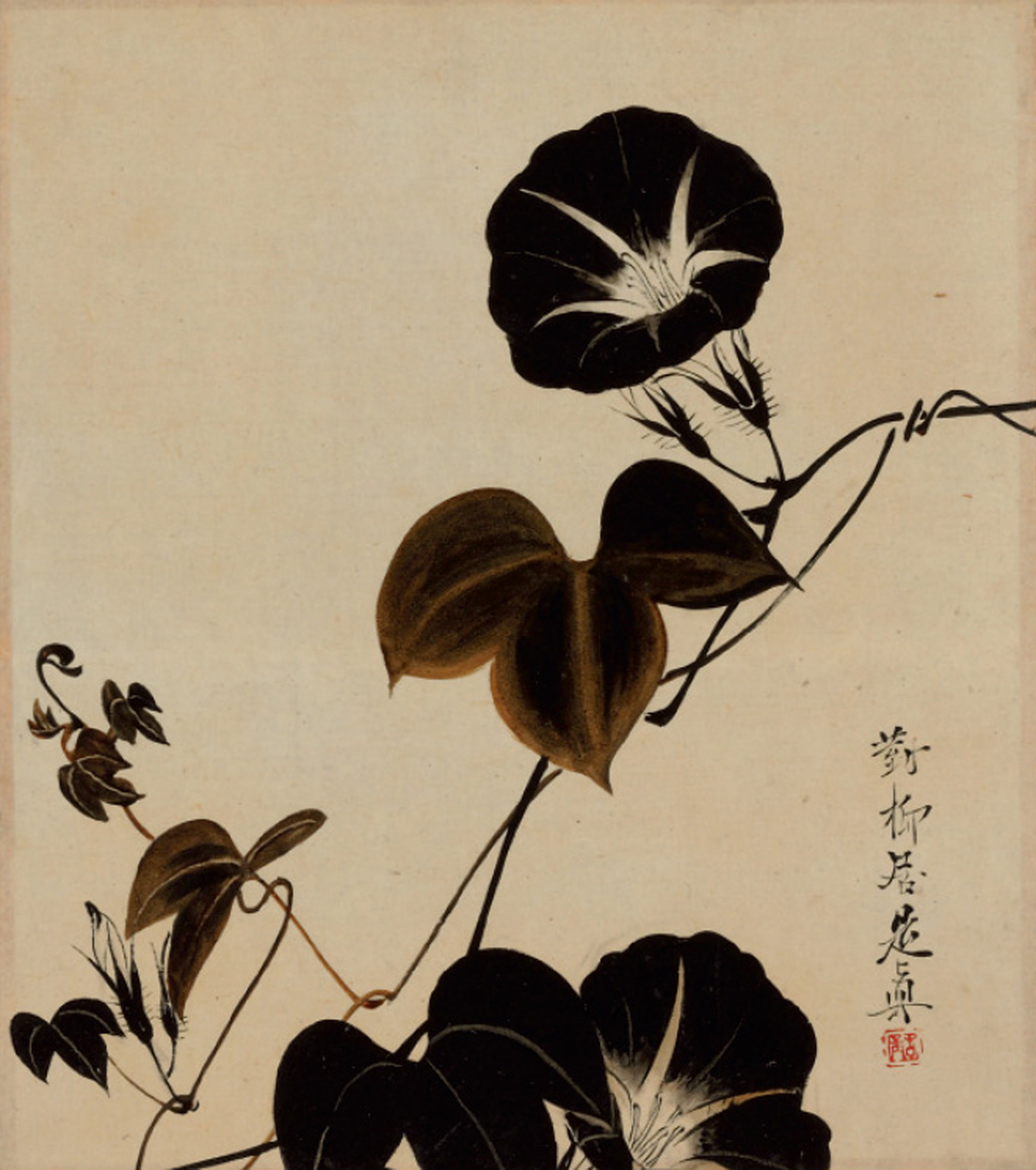 Shibata Zeshin — Утреннее великолепие