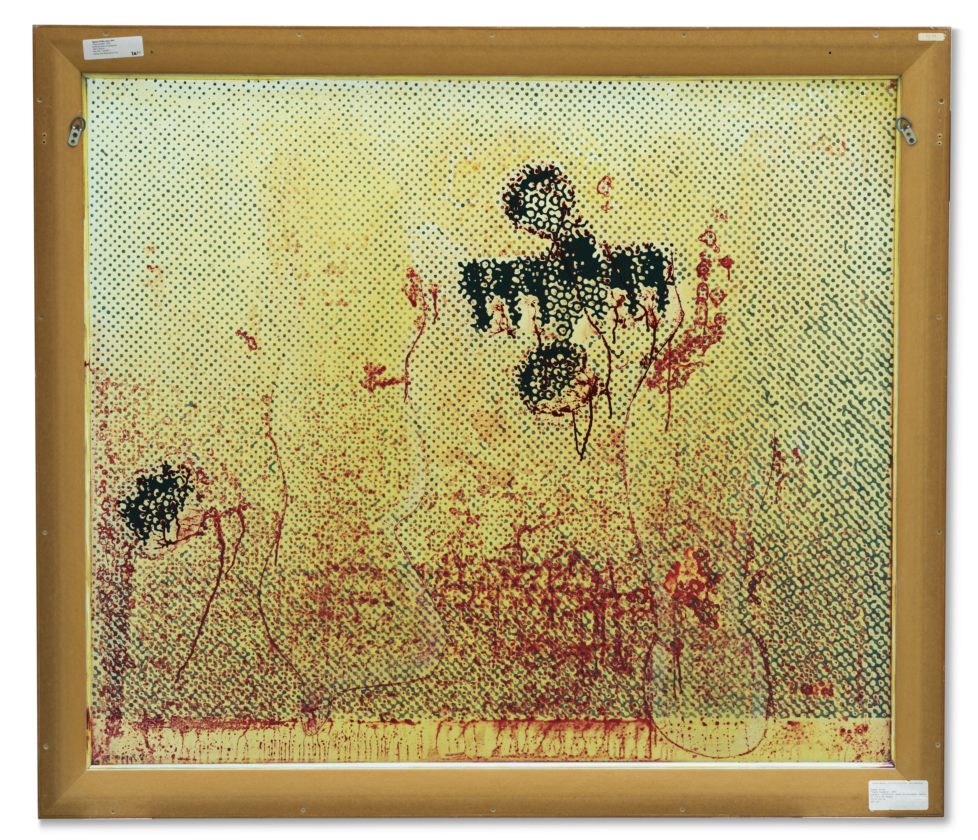 Sigmar Polke — Лидеры вкуса, изображение 4