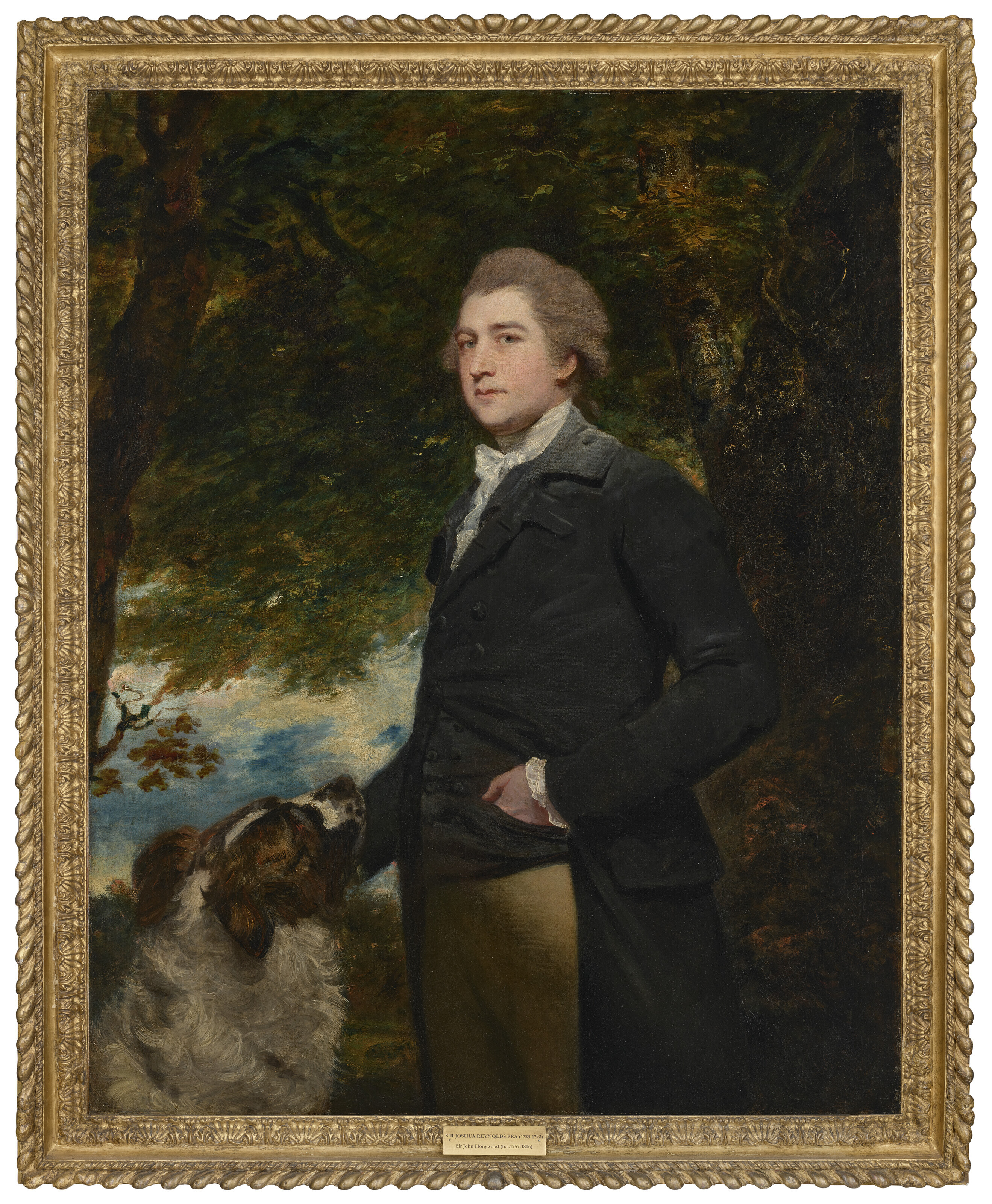 Sir Joshua Reynolds — Портрет сэра Джона Хонивуда (1757-1806), 4-го баронета, в три четверти роста, в черном сюртуке, рядом с деревом и собакой, изображение 2