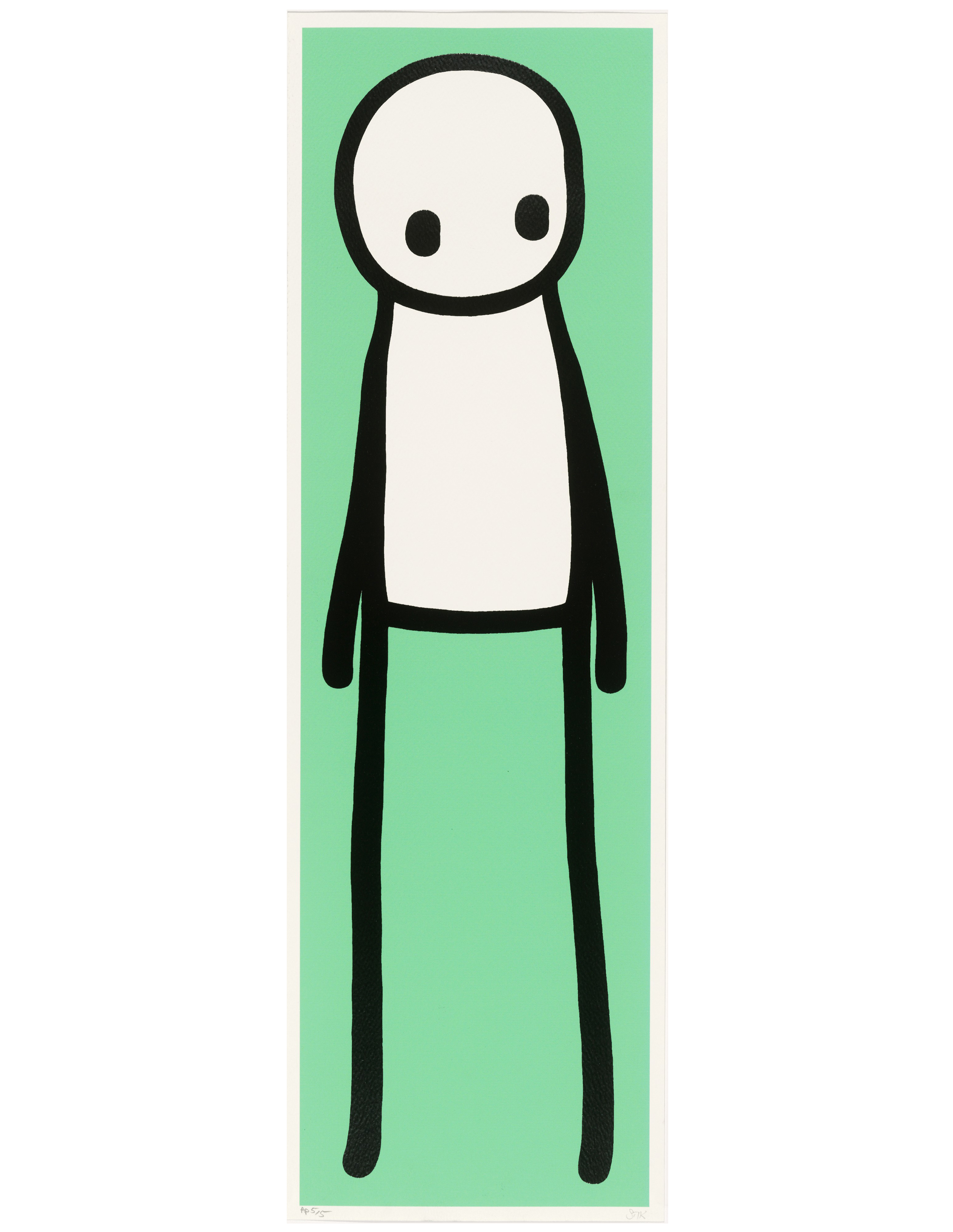 Stik — Издание Book deluxe edition (оранжевое) и издание Book deluxe edition (мятно-зеленое), изображение 2