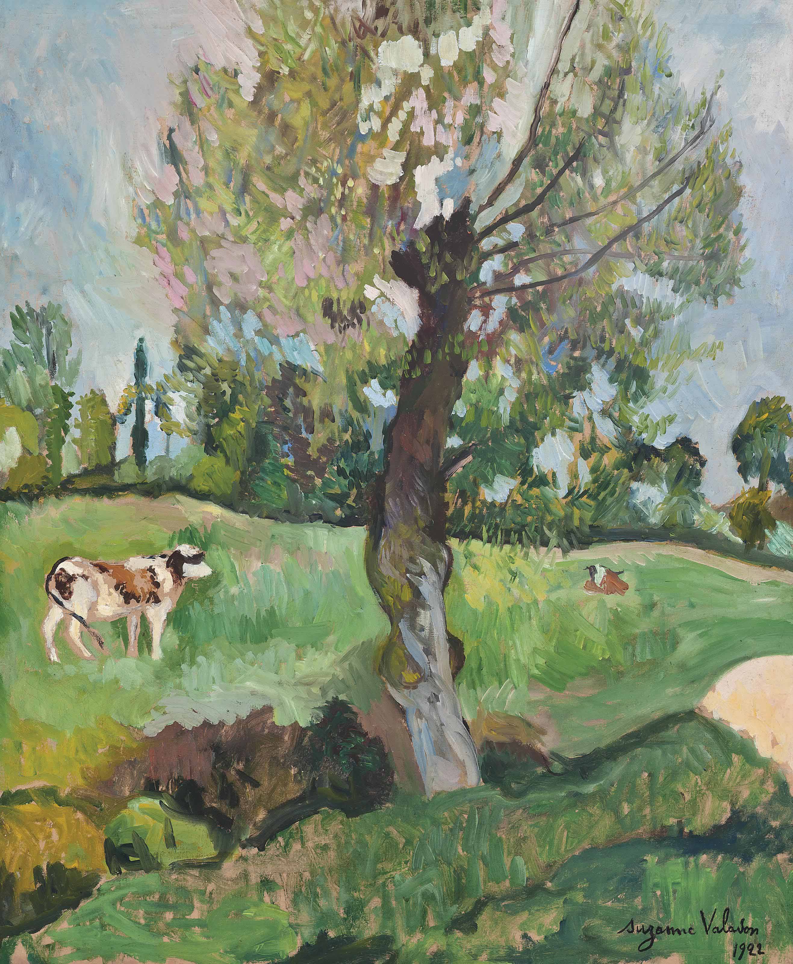 Suzanne Valadon — Ночь в прерии