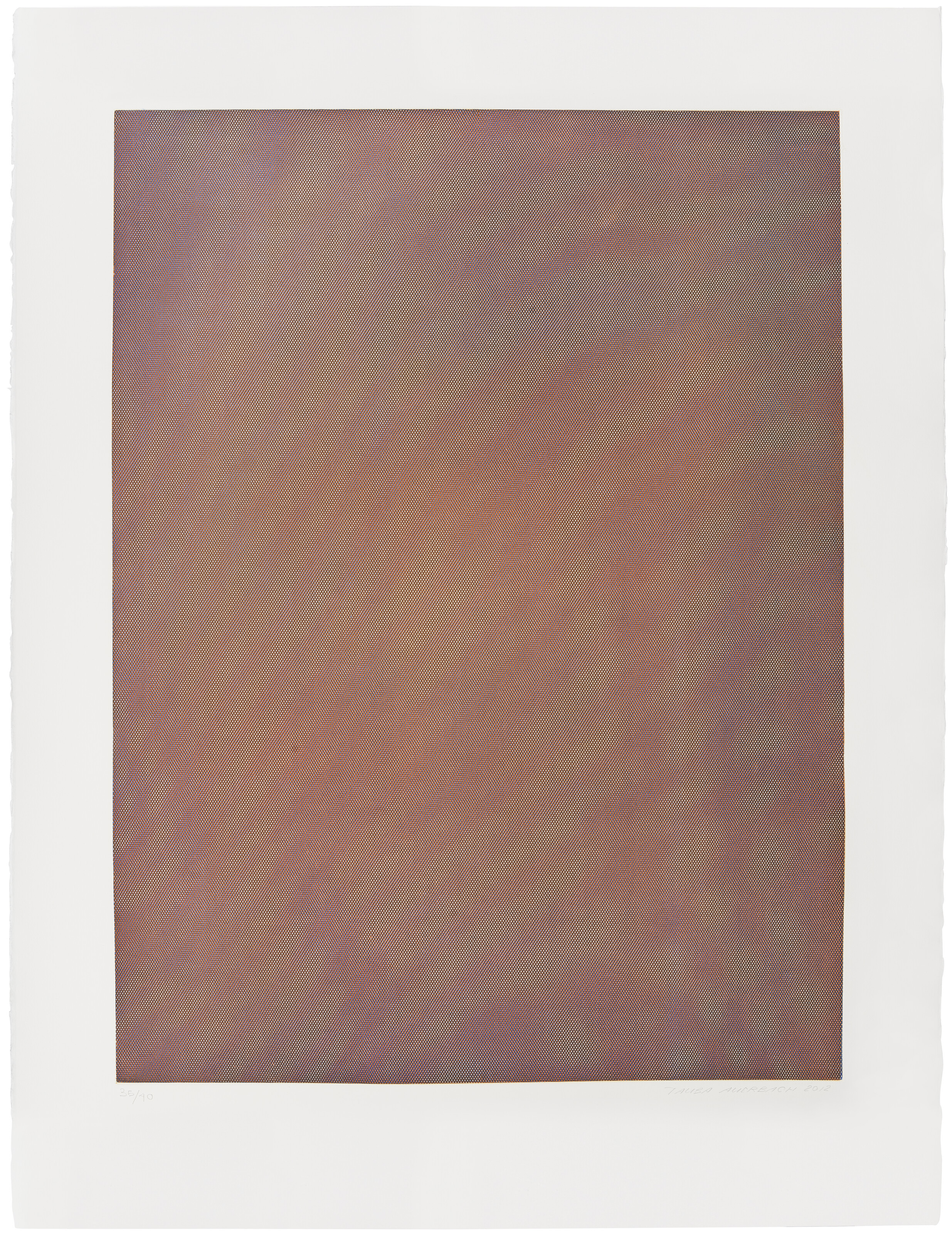Tauba Auerbach — Сетка Муаровая I