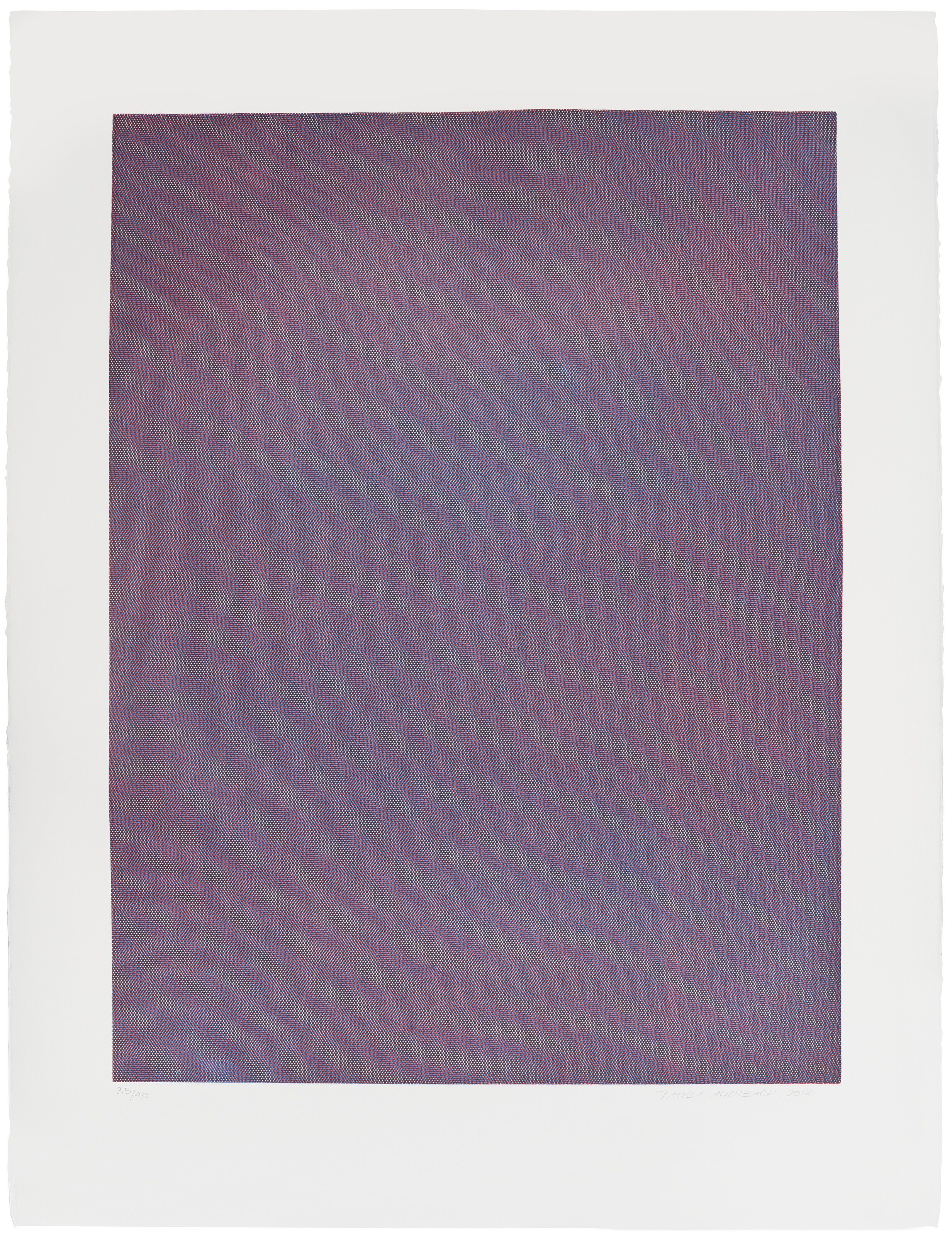 Tauba Auerbach — Сетка муаровая IV