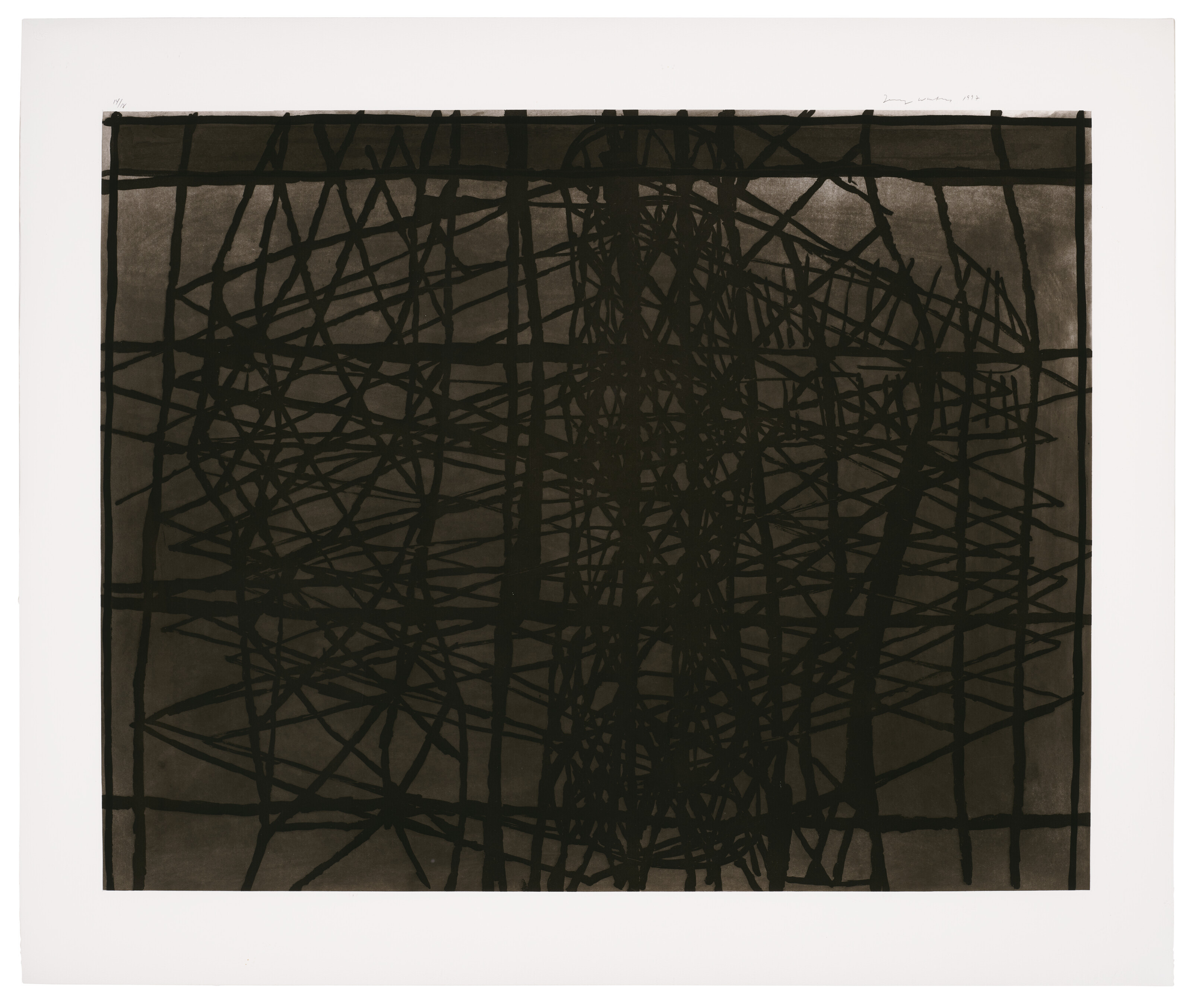 Terry Winters — Модель поверхности разработки