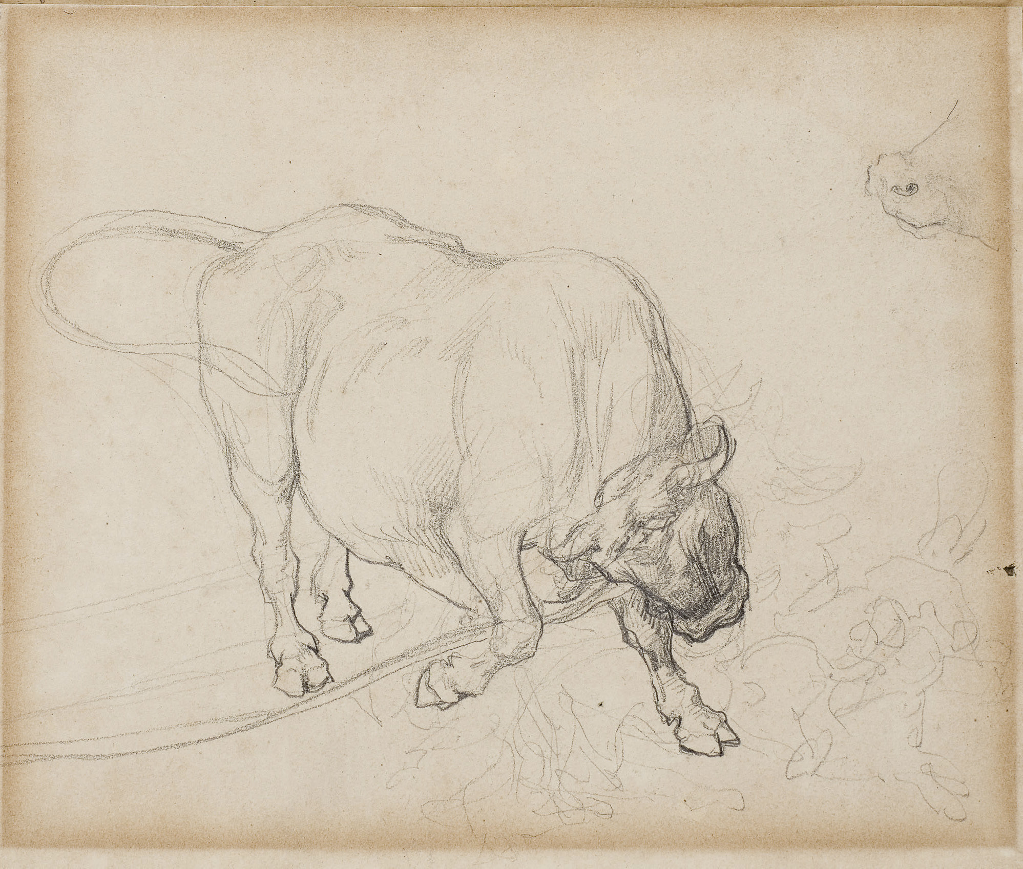 Théodore Géricault — Этюд о бефе в тет-а-тет
