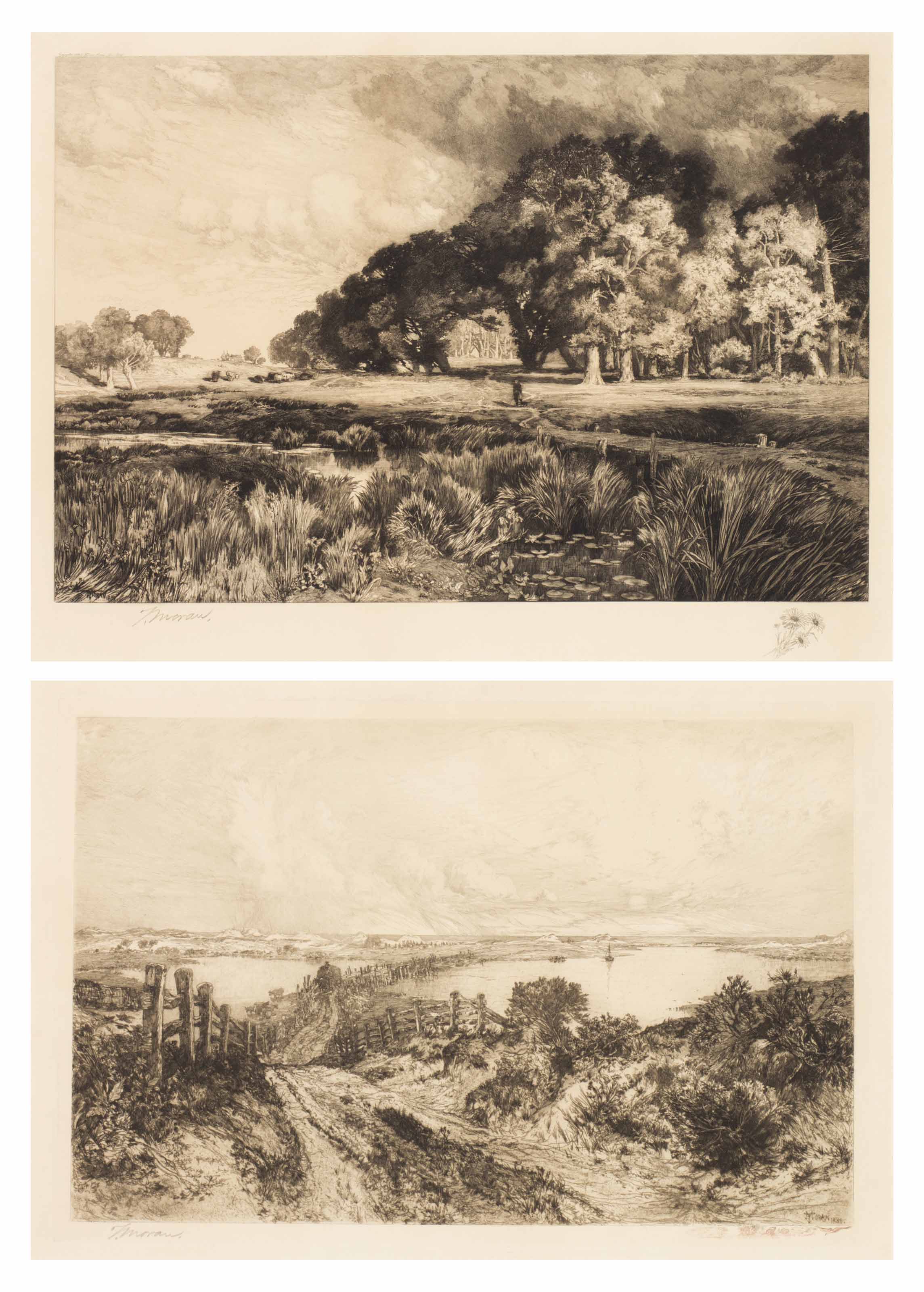 Thomas Moran — Утро