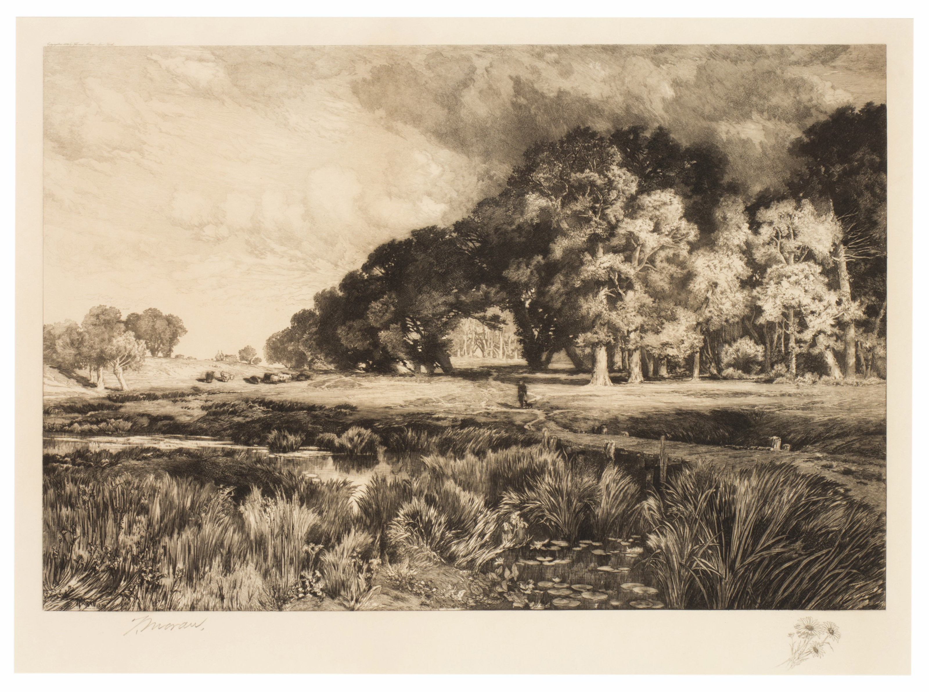 Thomas Moran — Утро, изображение 3
