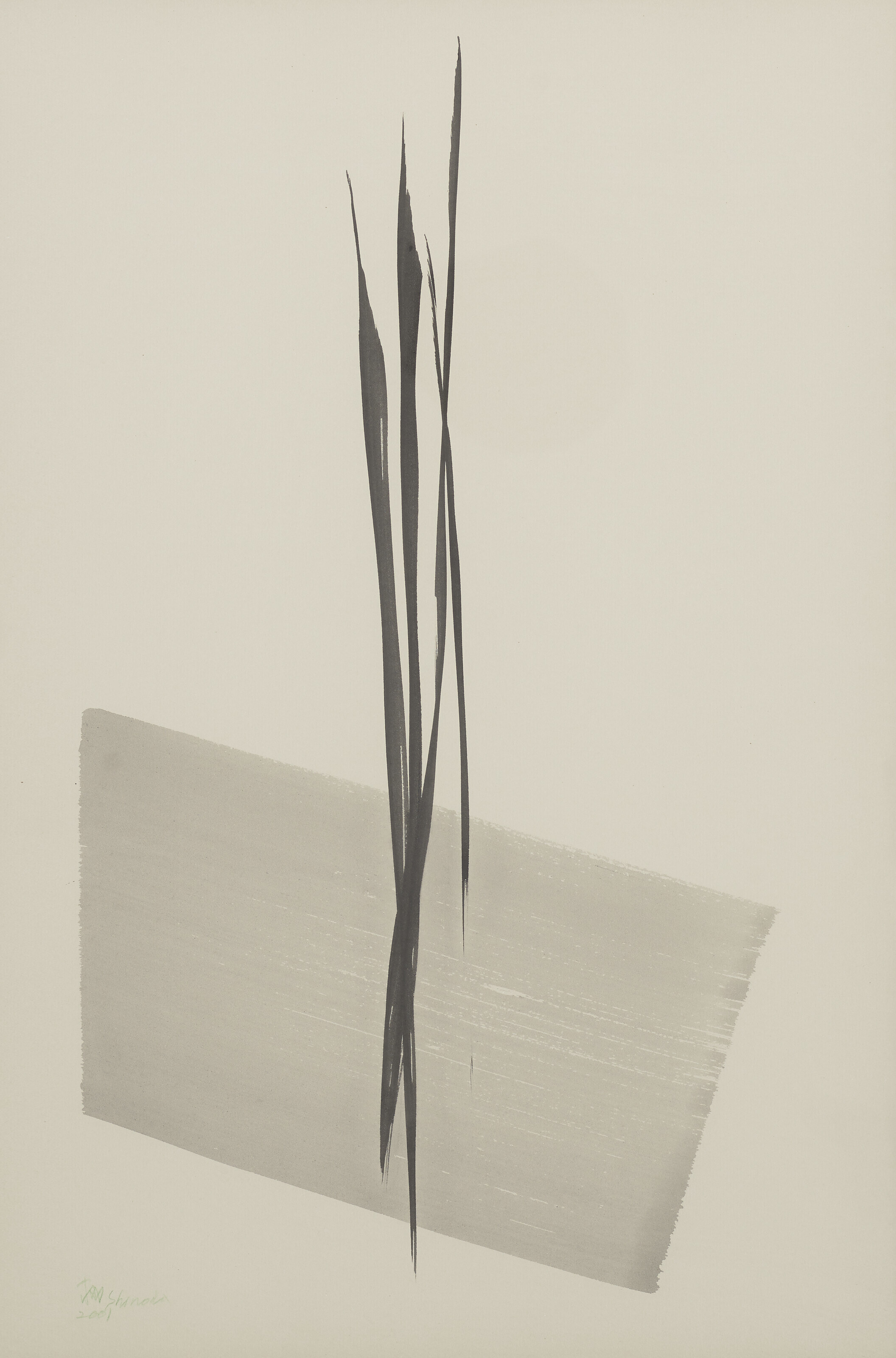 Toko Shinoda — Новый год, 2001