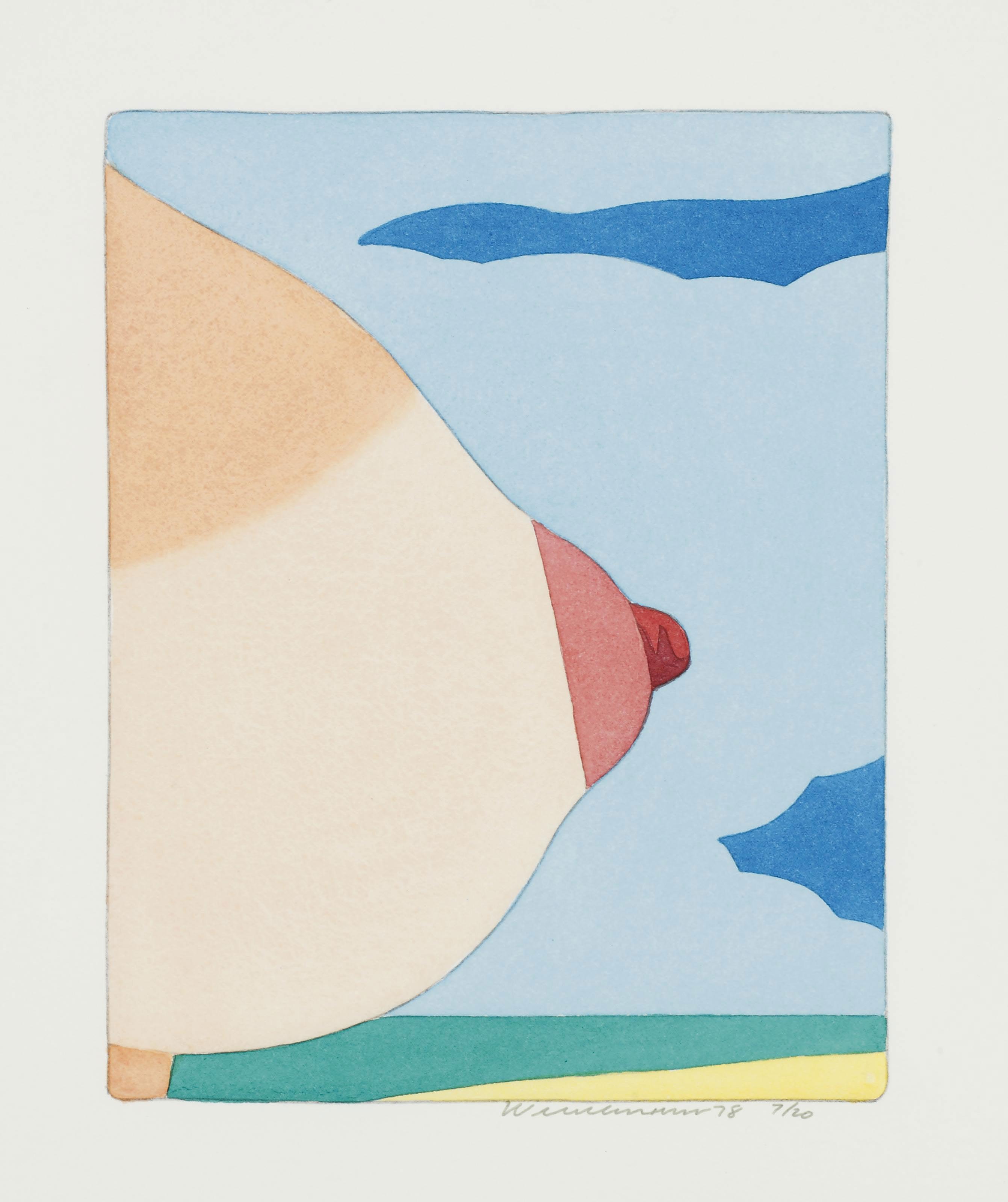 Tom Wesselmann — Портфолио морских пейзажей, изображение 4