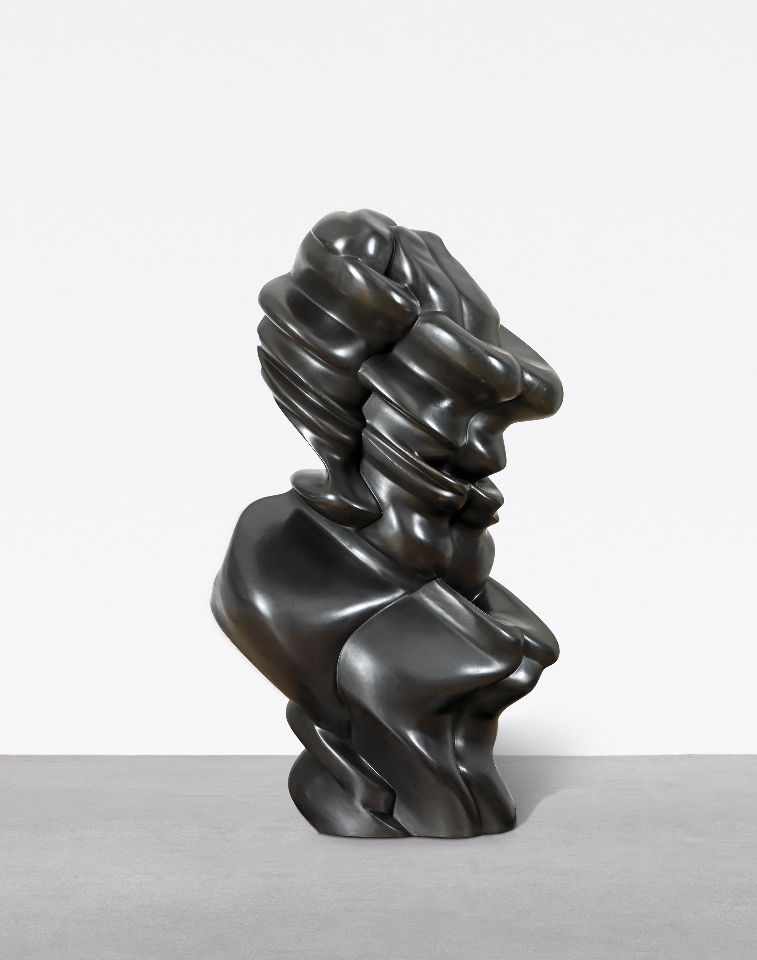 Tony Cragg — Хорошее лицо