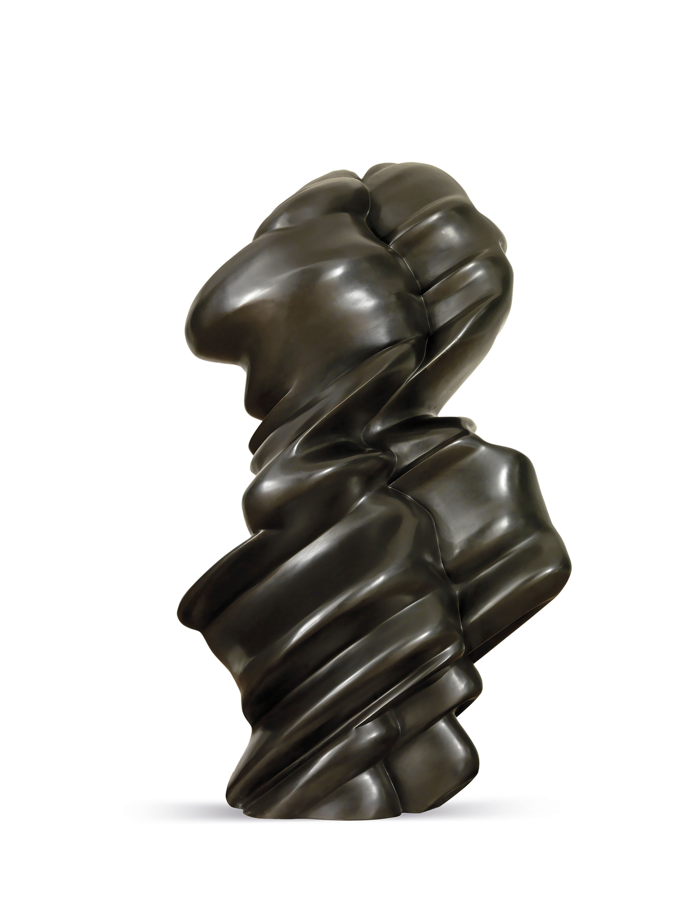 Tony Cragg — Хорошее лицо, изображение 2
