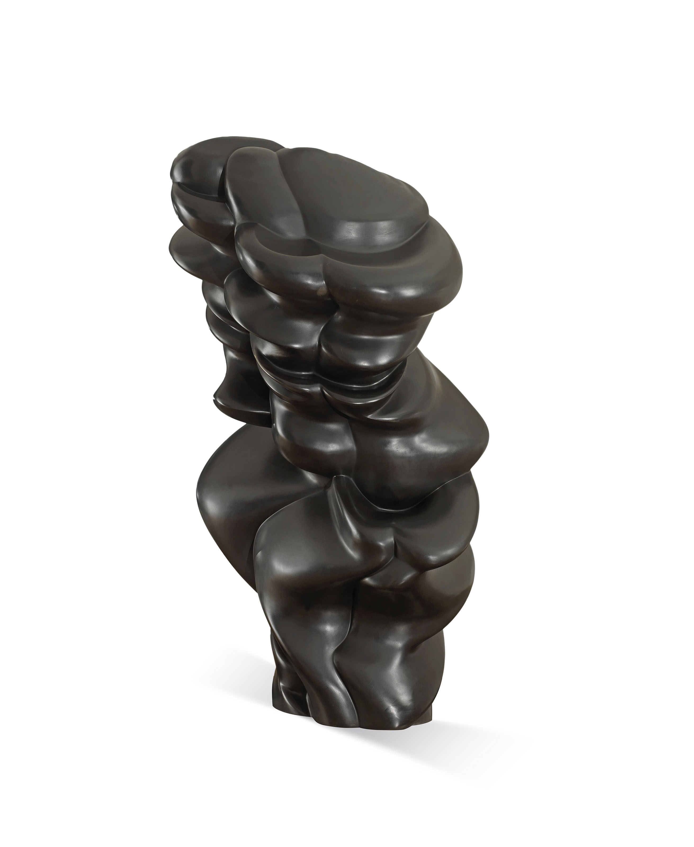 Tony Cragg — Хорошее лицо, изображение 3