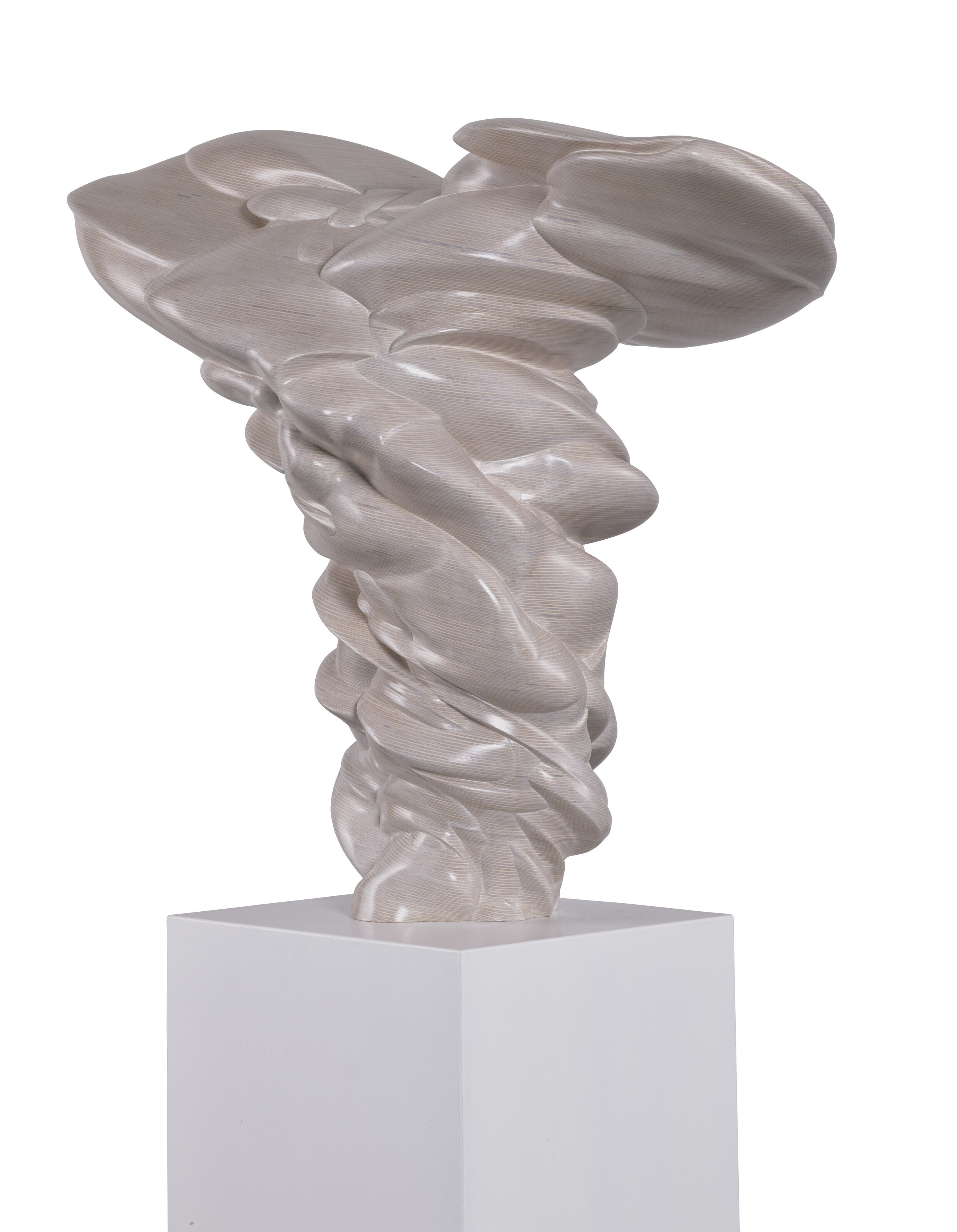 Tony Cragg — От первого лица