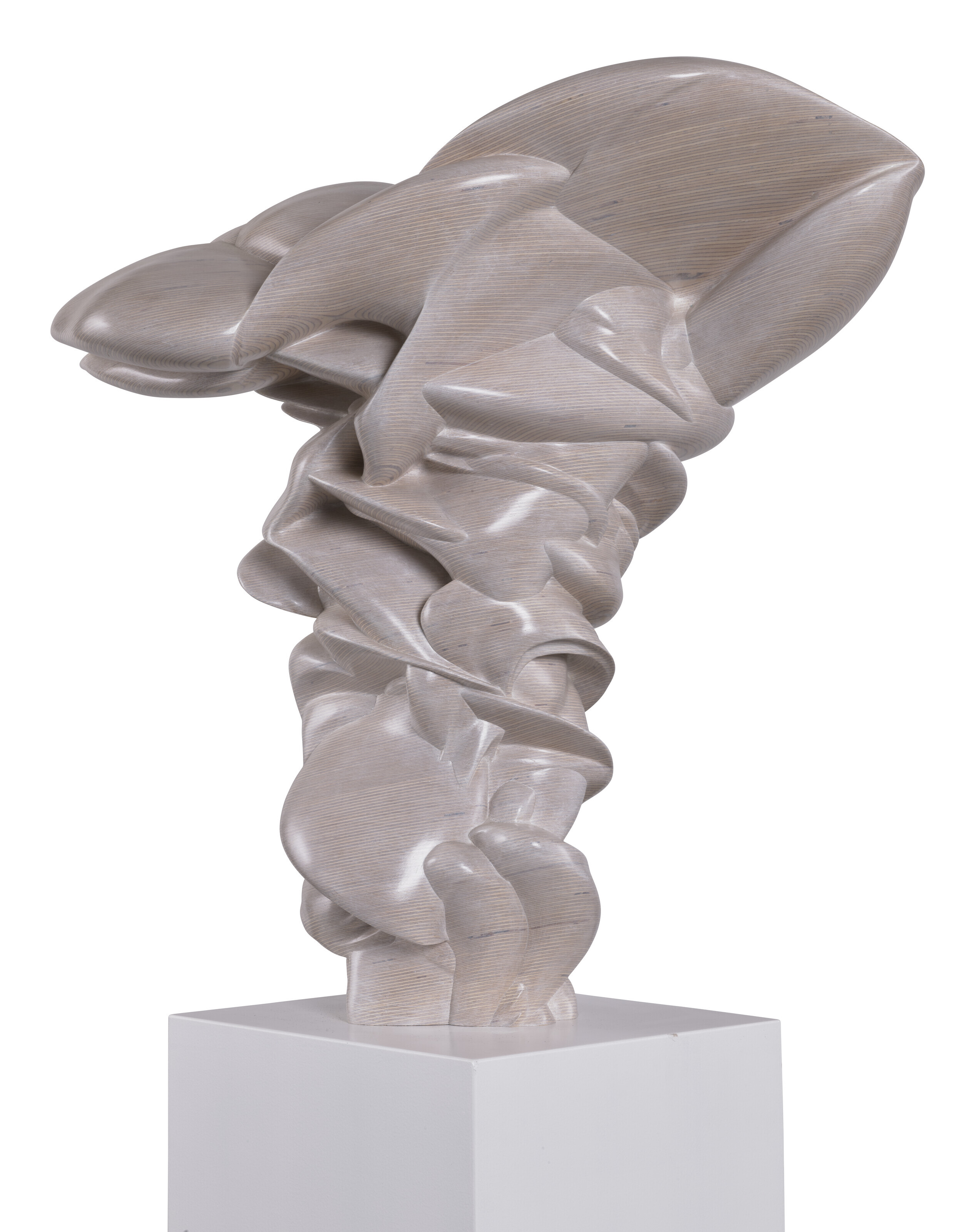 Tony Cragg — От первого лица, изображение 2