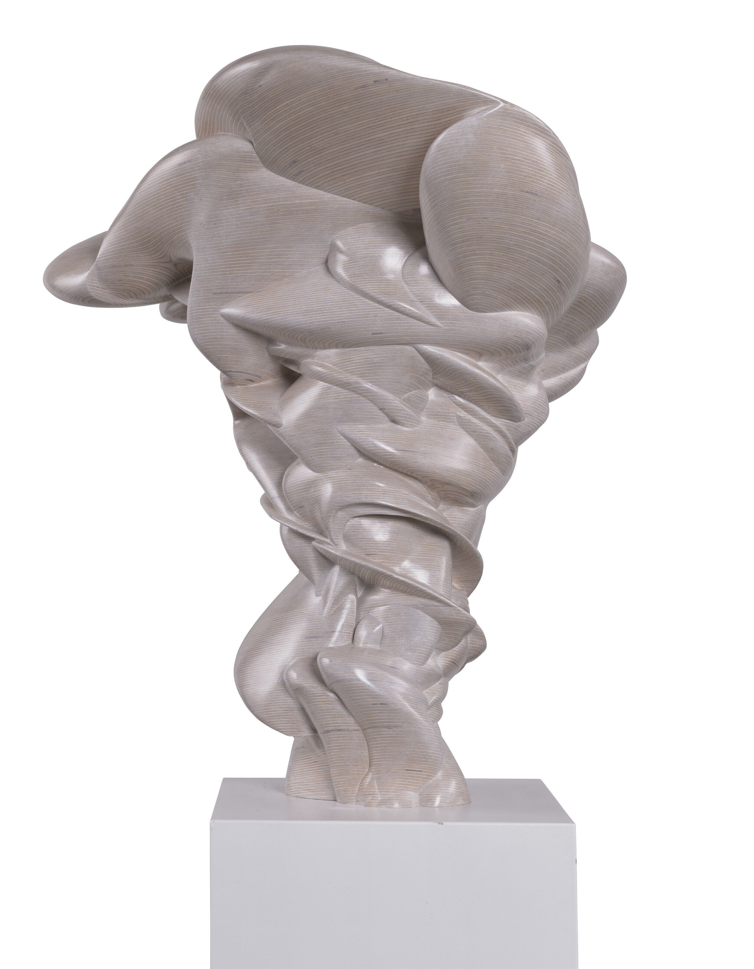 Tony Cragg — От первого лица, изображение 3