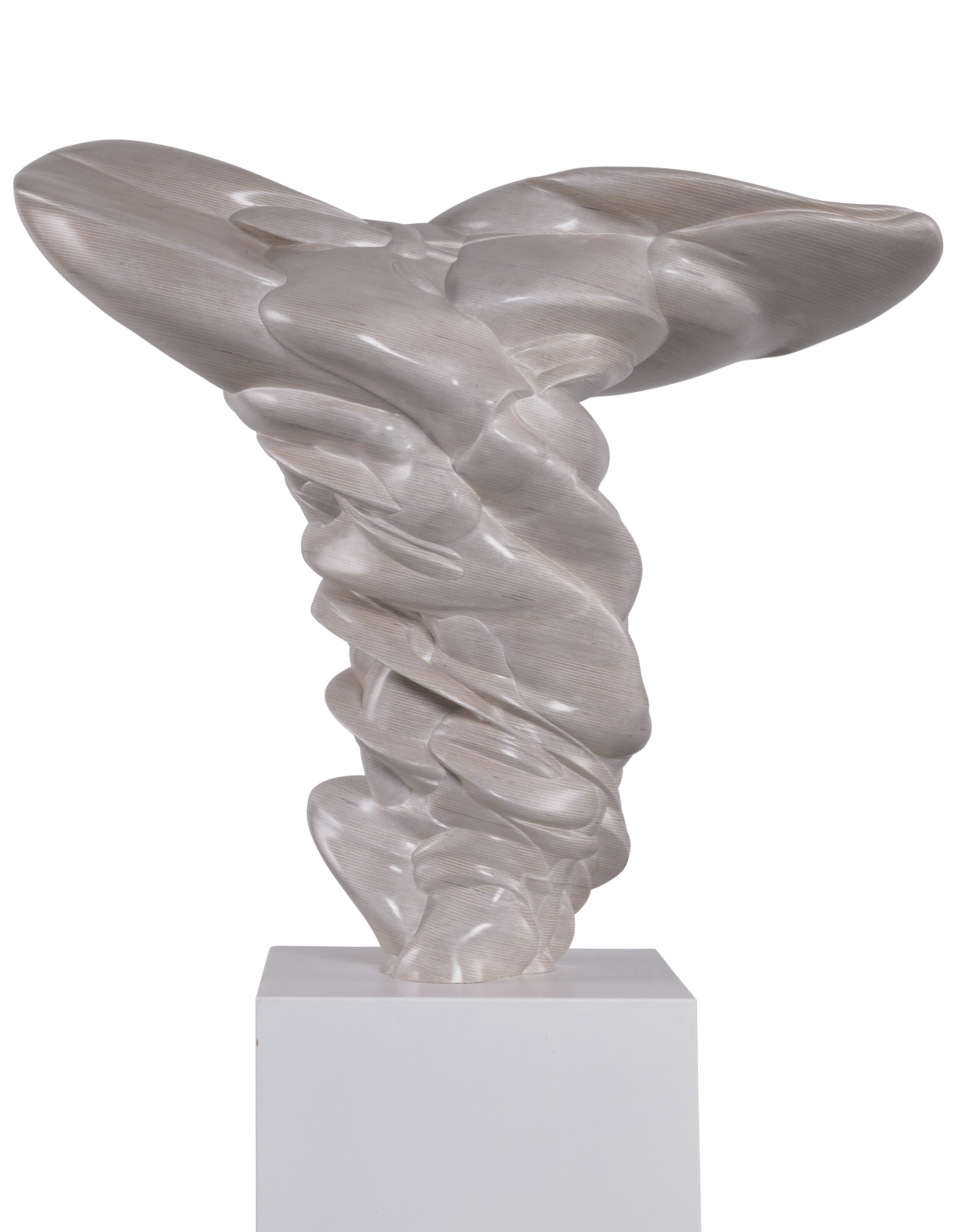 Tony Cragg — От первого лица, изображение 4