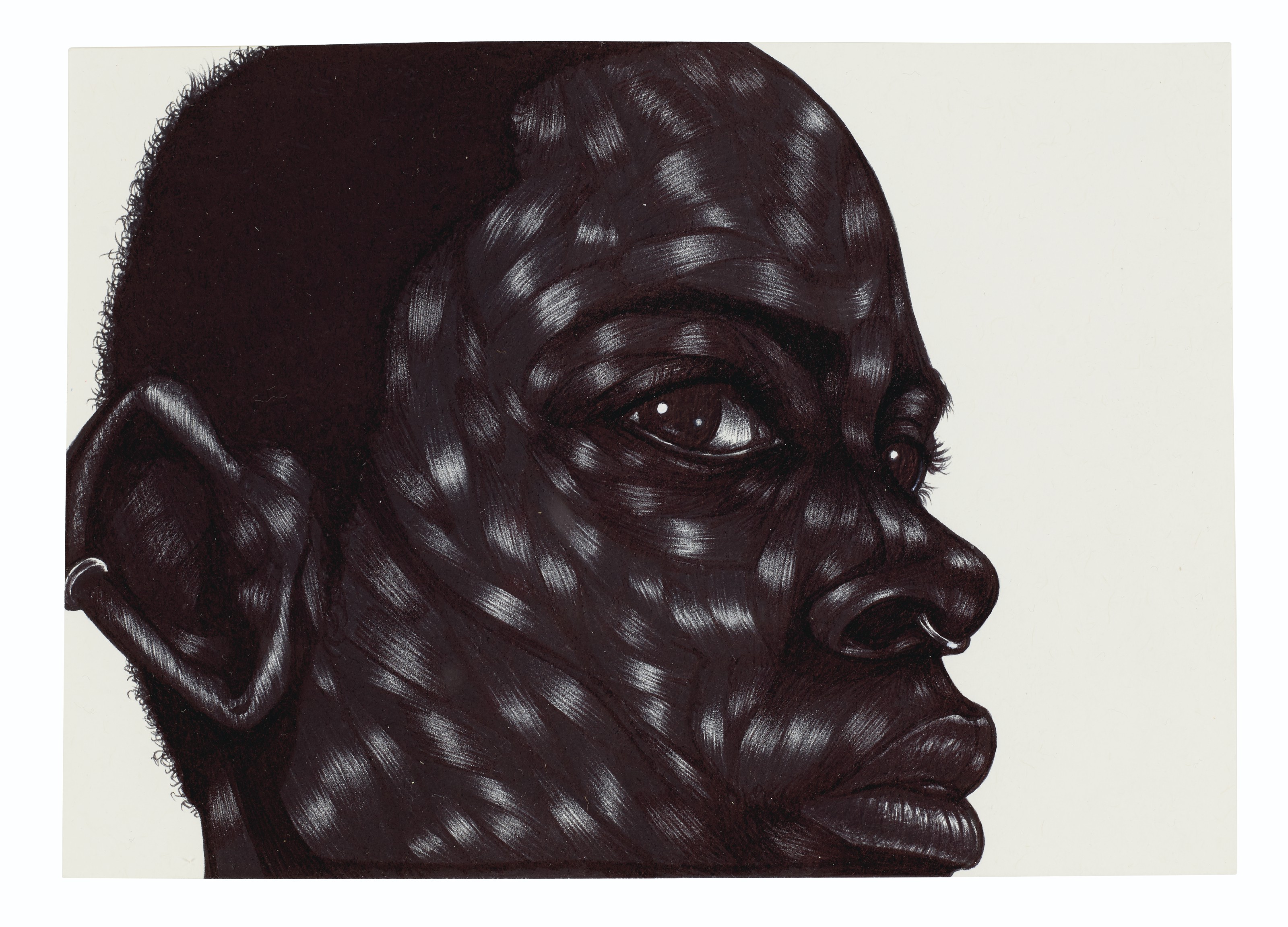 Toyin Ojih Odutola — Без названия