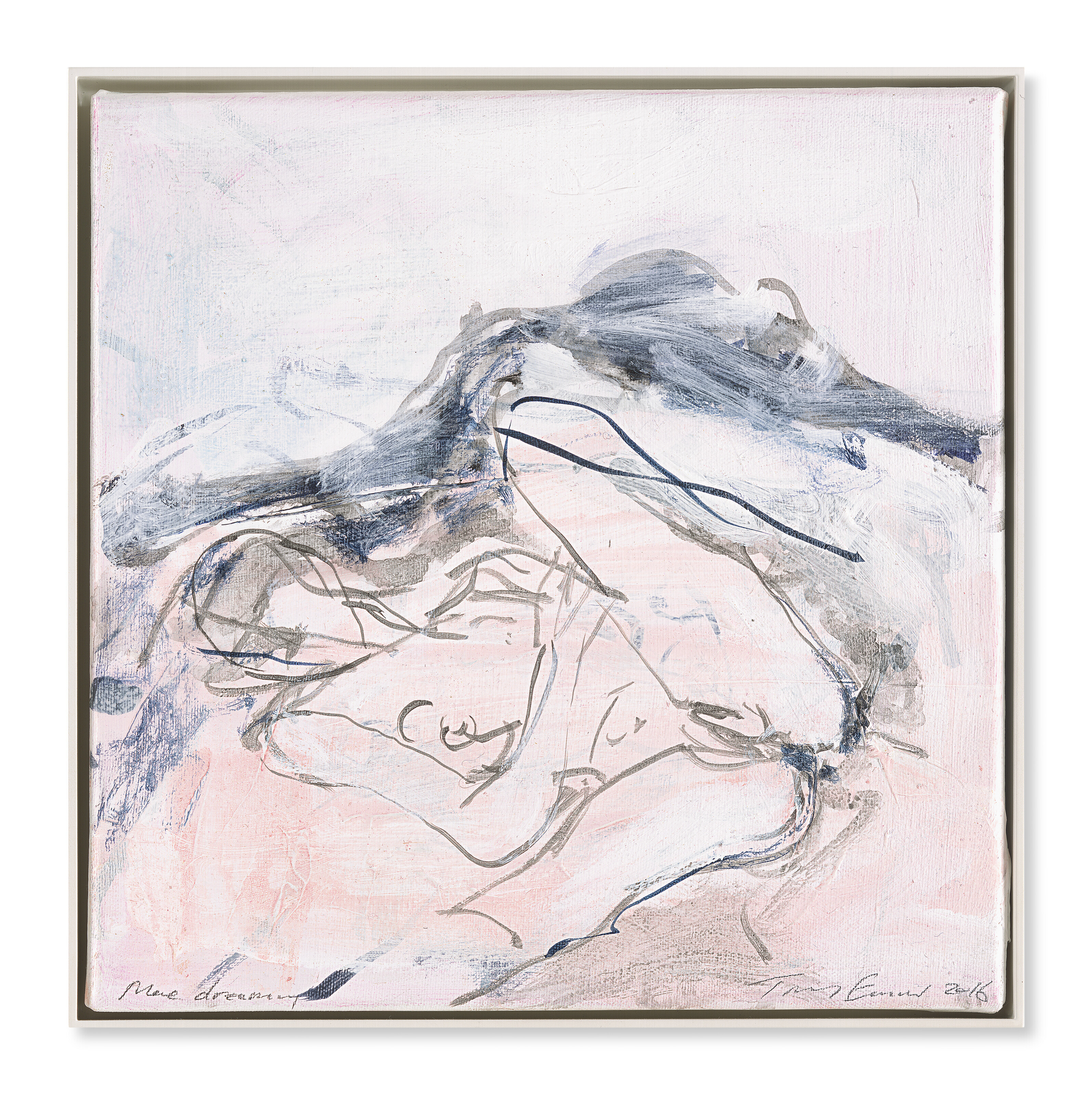 Tracey Emin — Еще больше мечтаний, изображение 2