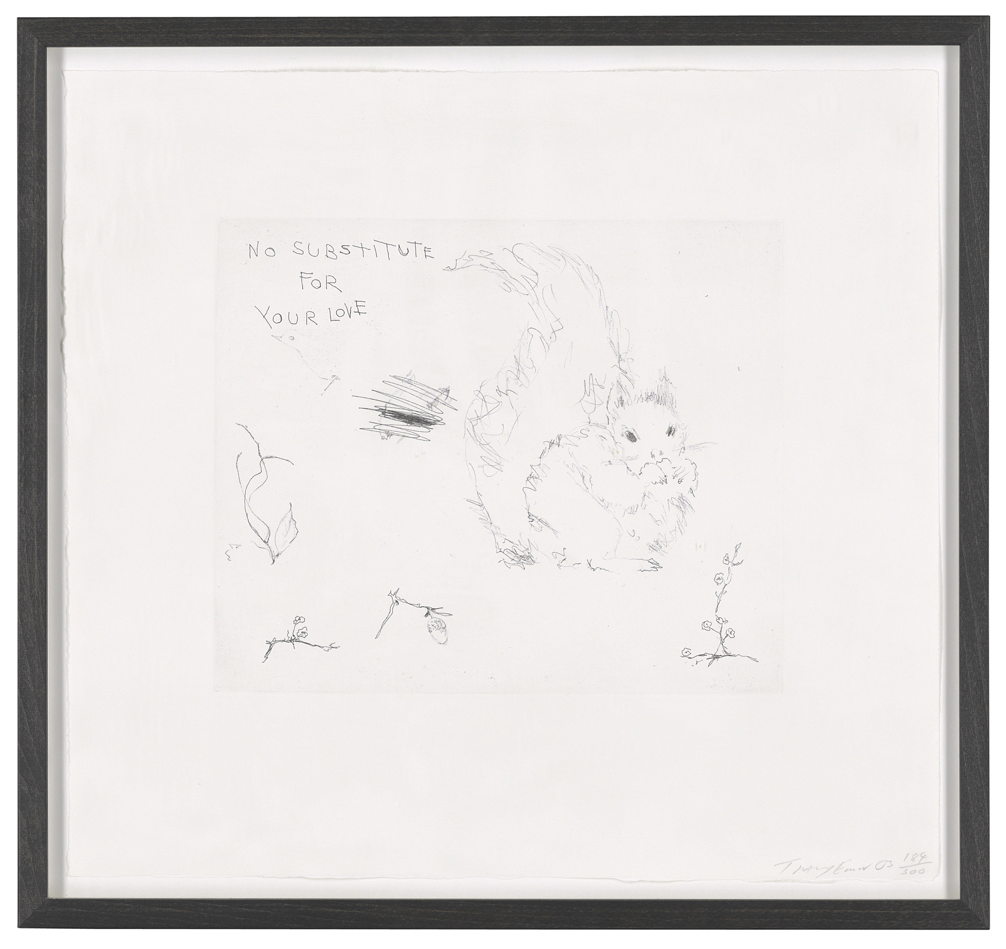 Tracey Emin — Такие милые; Крольчата и белочки; Ничто не заменит твоей любви., изображение 2