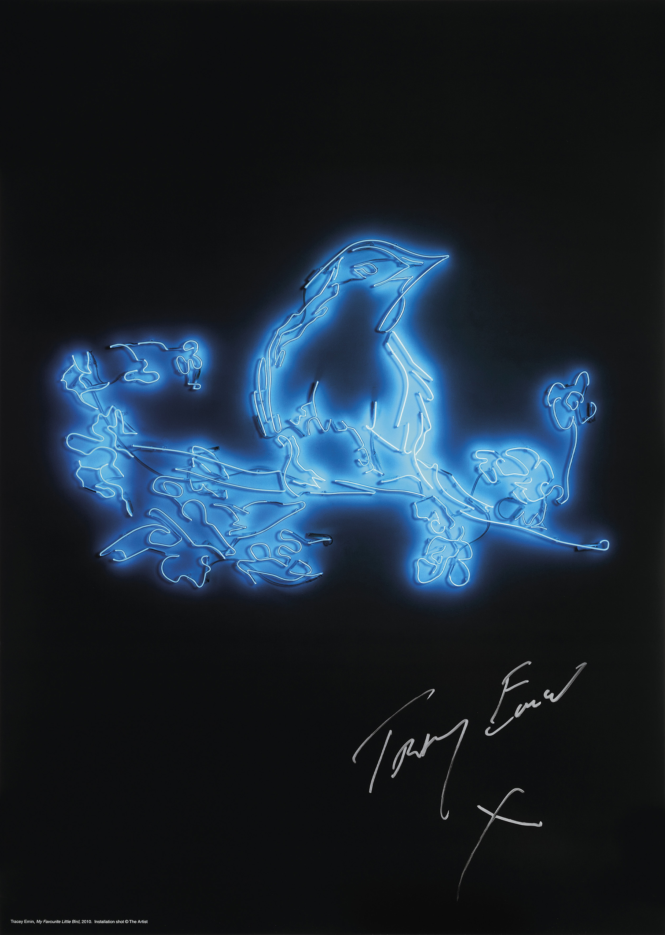 Tracey Emin — Моя любимая птичка