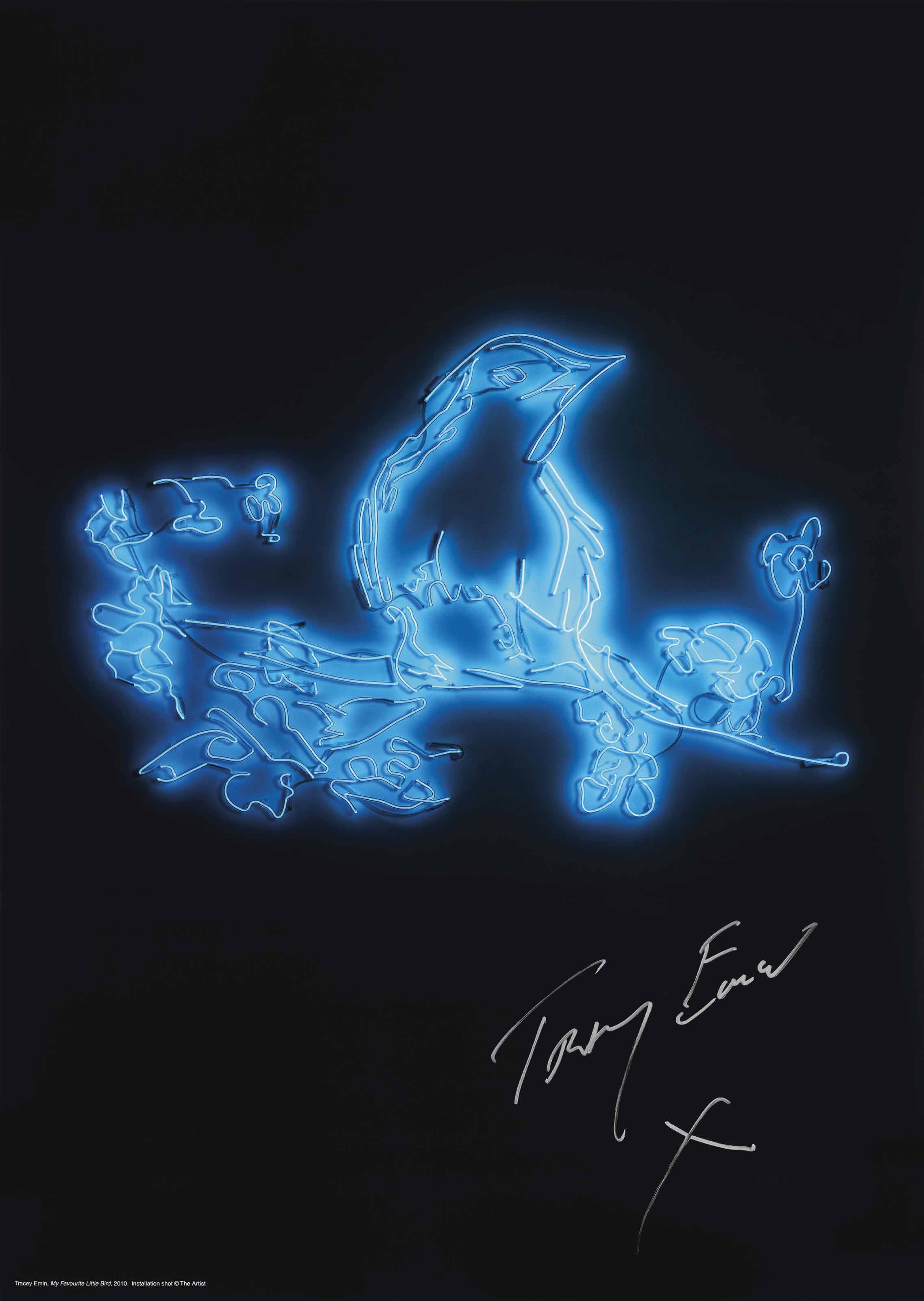 Tracey Emin — Моя любимая птичка