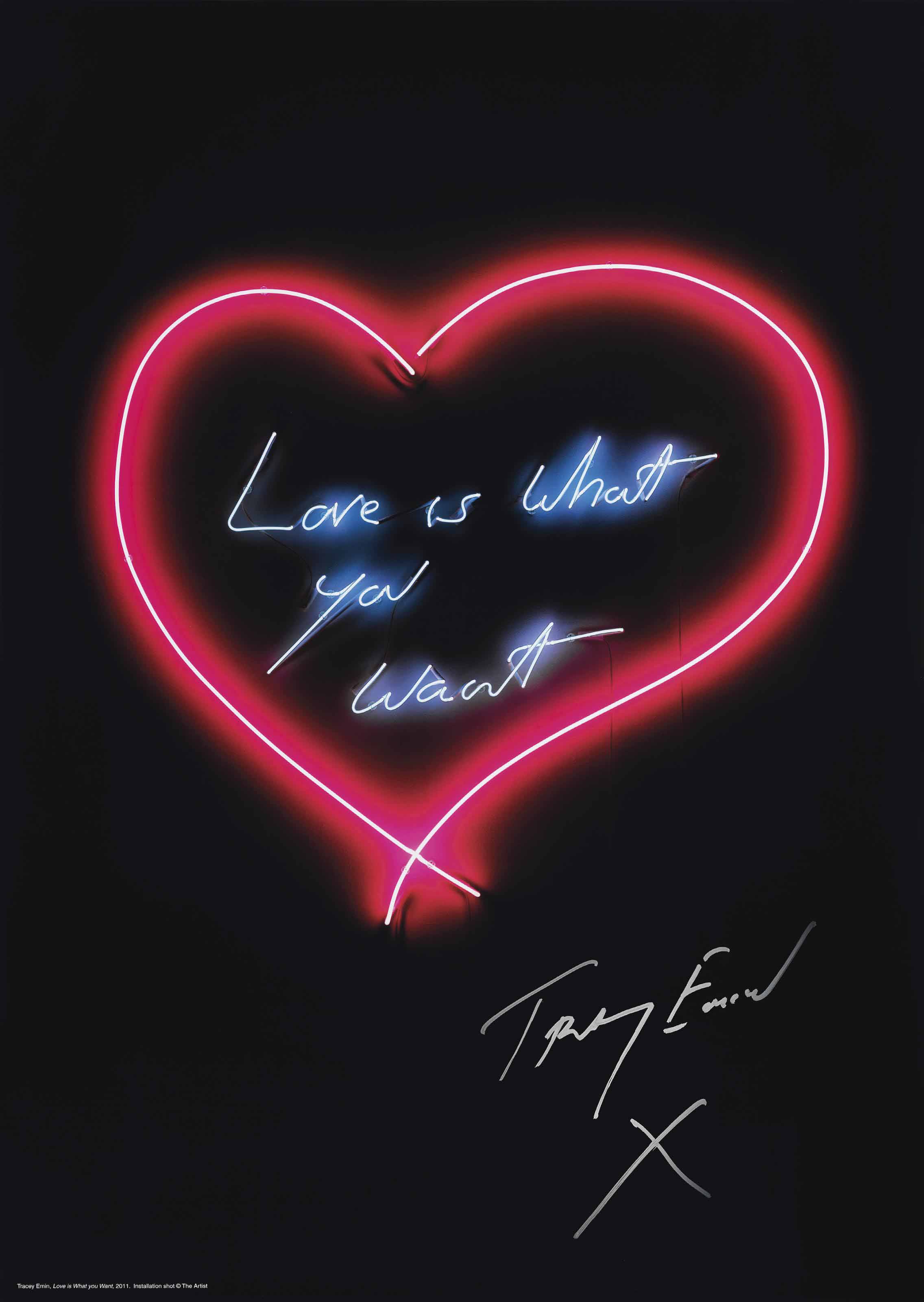 Tracey Emin — Любовь - это то, чего Ты Хочешь