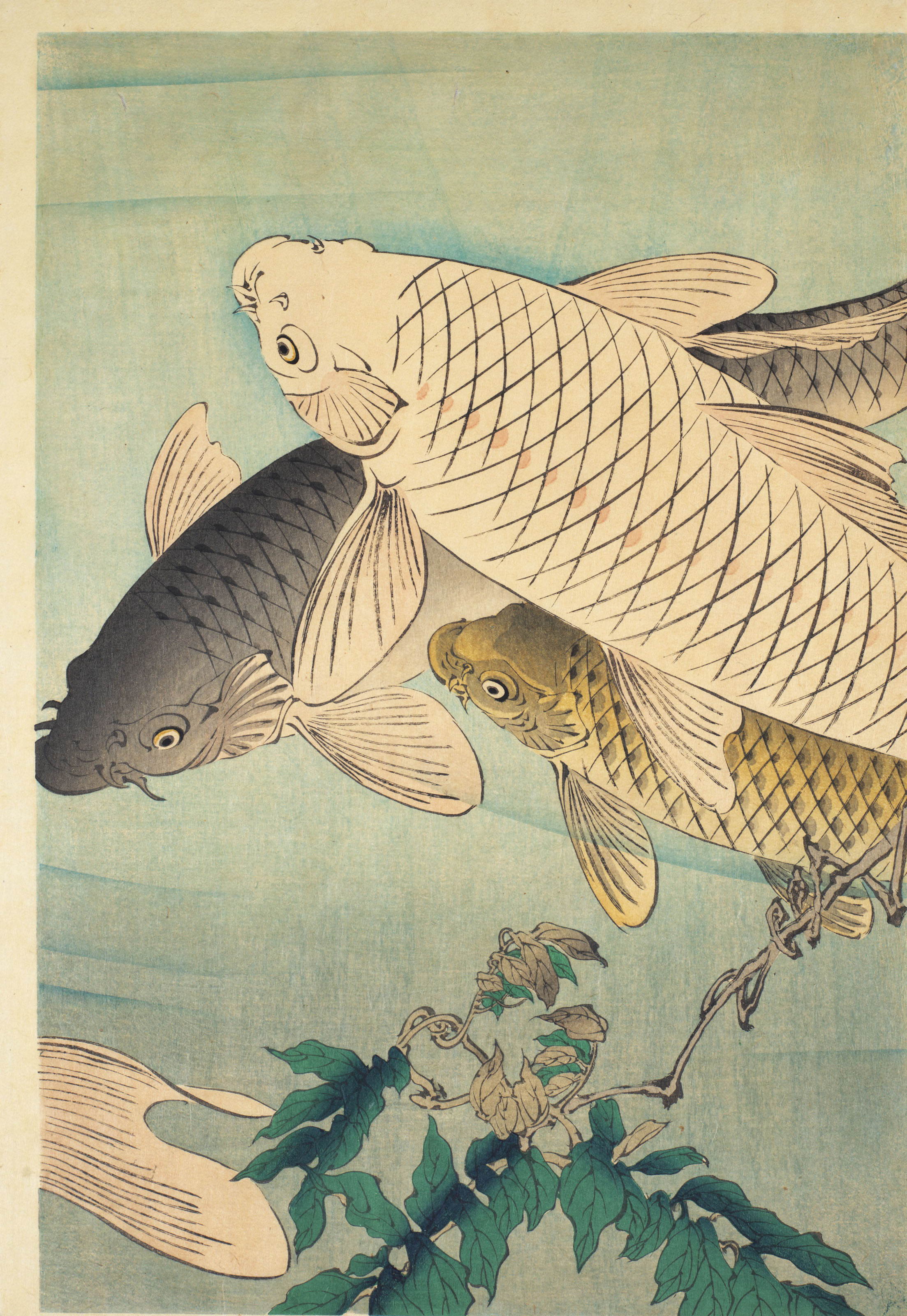 Tsukioka Yoshitoshi — Карп, плавающий под свисающей лозой глицинии, изображение 3