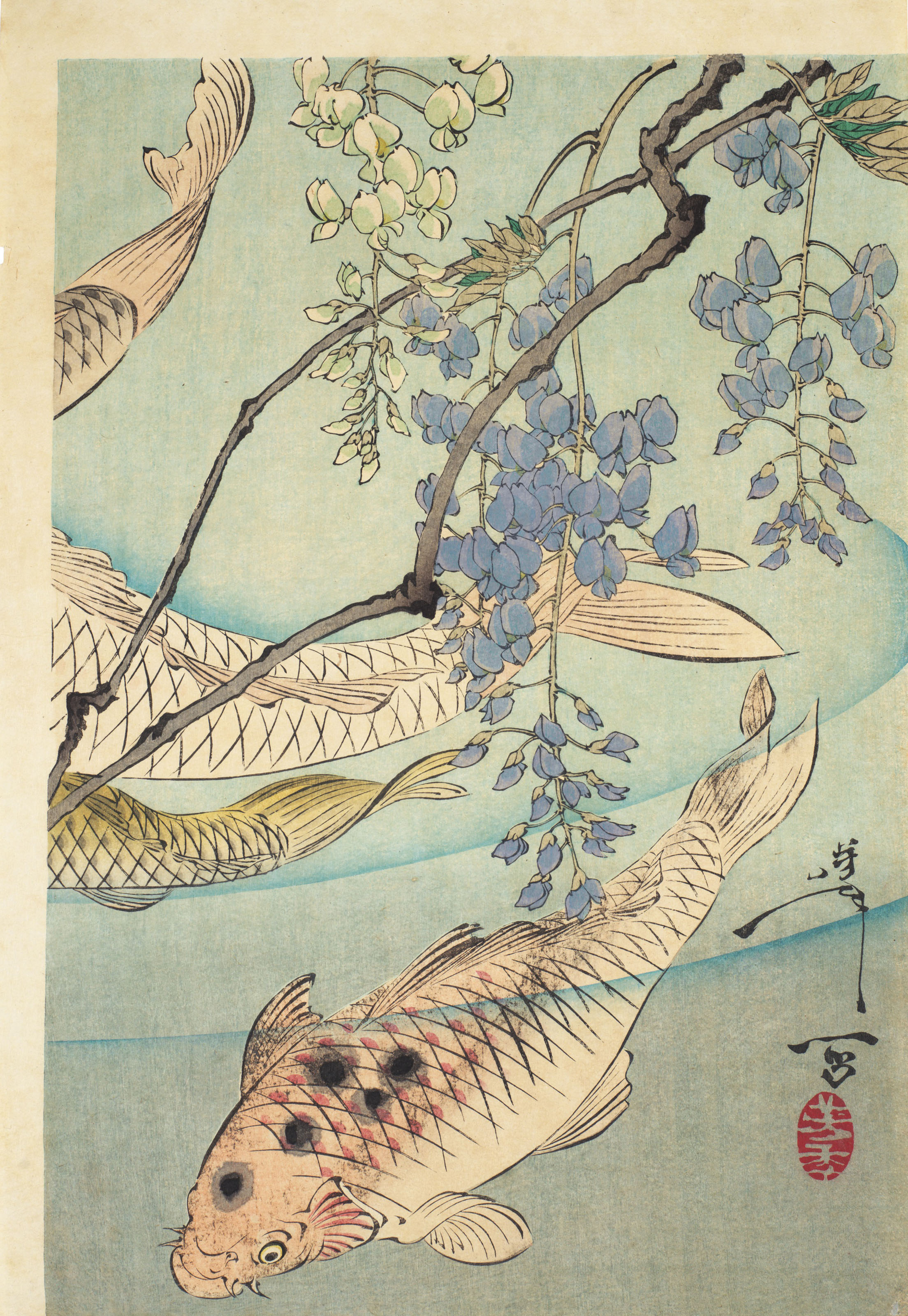 Tsukioka Yoshitoshi — Карп, плавающий под свисающей лозой глицинии, изображение 4