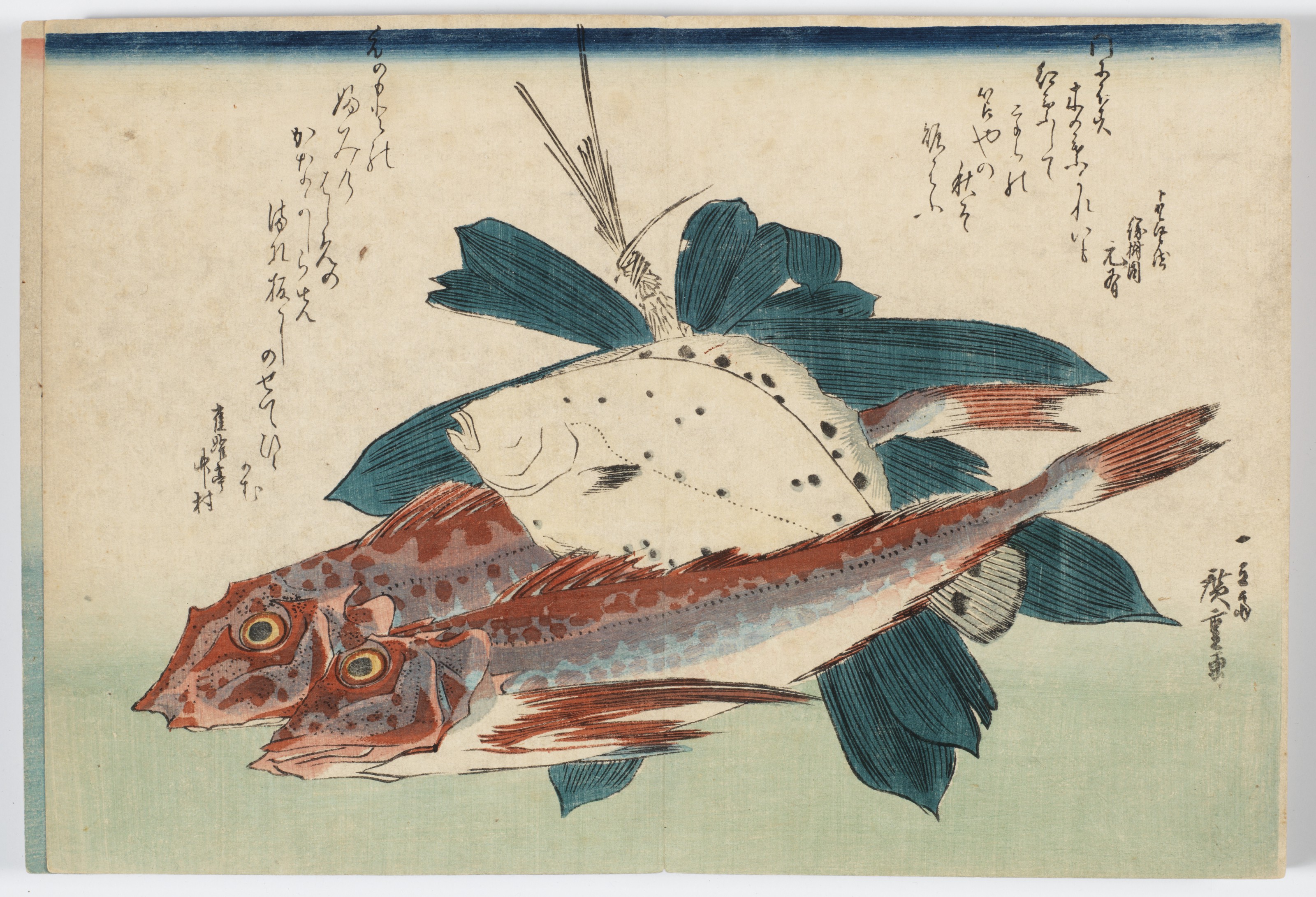 Utagawa Hiroshige — Полный набор из безымянной серии крупных рыб (Уозукуси), изображение 11