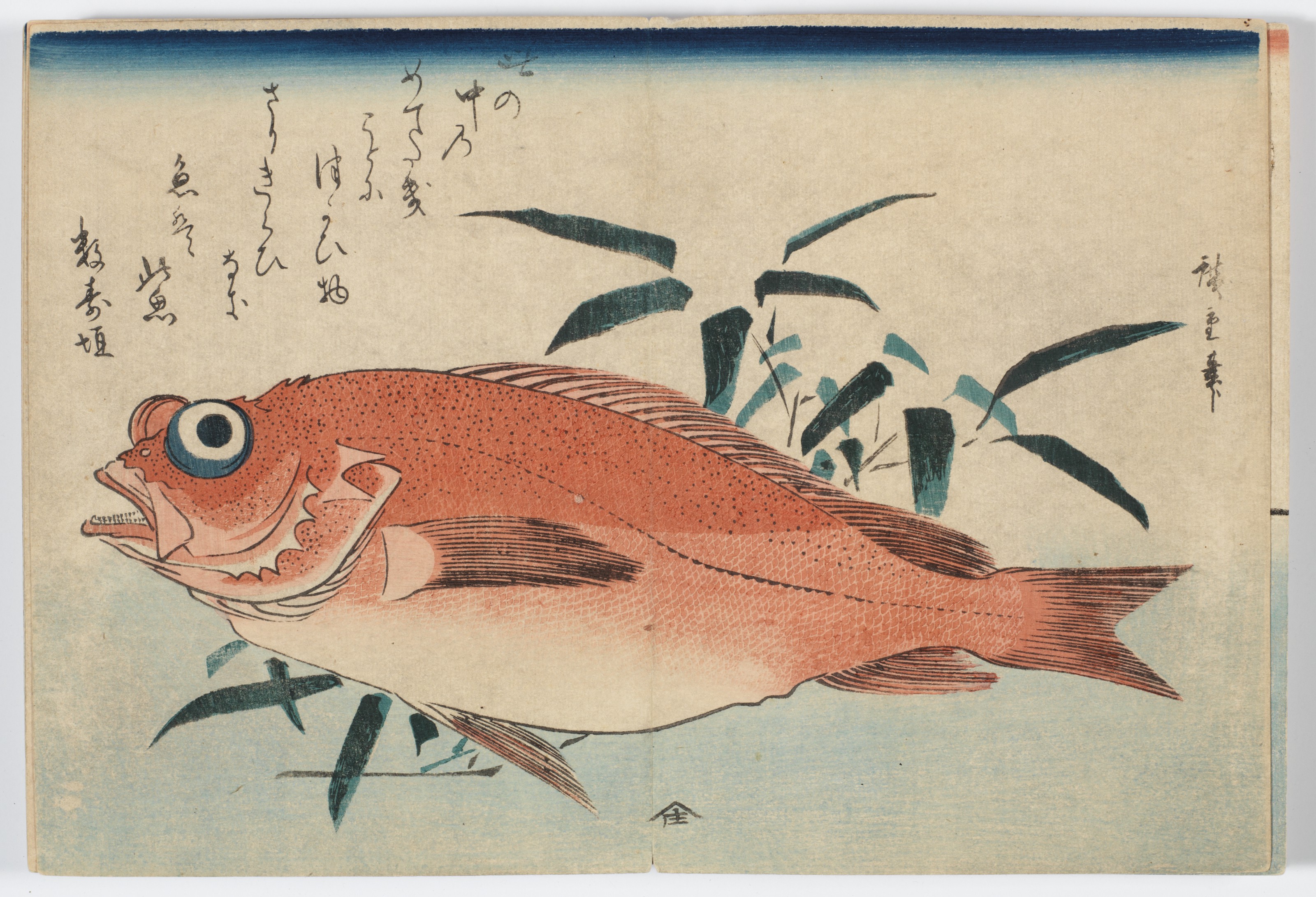 Utagawa Hiroshige — Полный набор из безымянной серии крупных рыб (Уозукуси), изображение 14