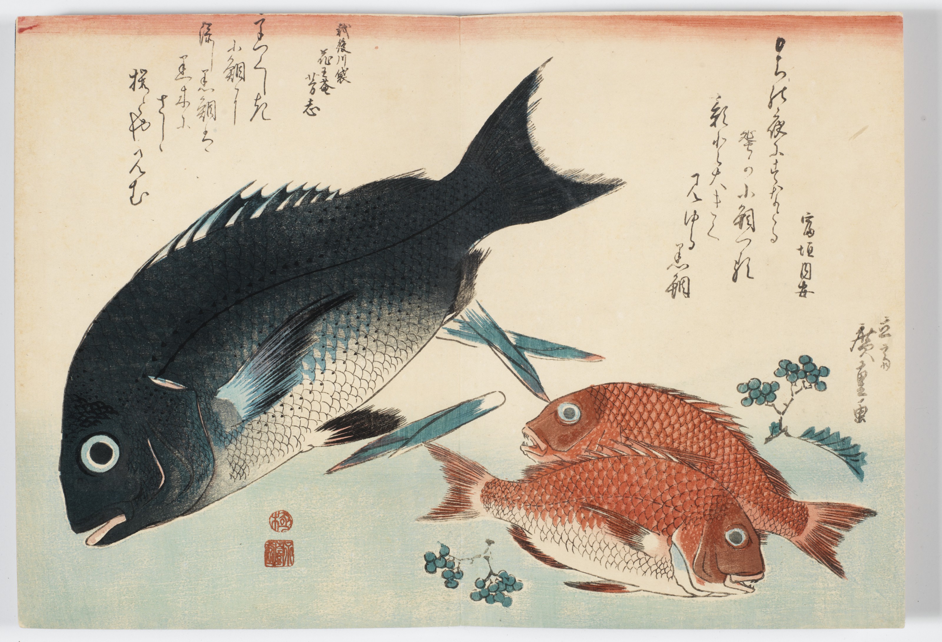 Utagawa Hiroshige — Полный набор из безымянной серии крупных рыб (Уозукуси), изображение 22