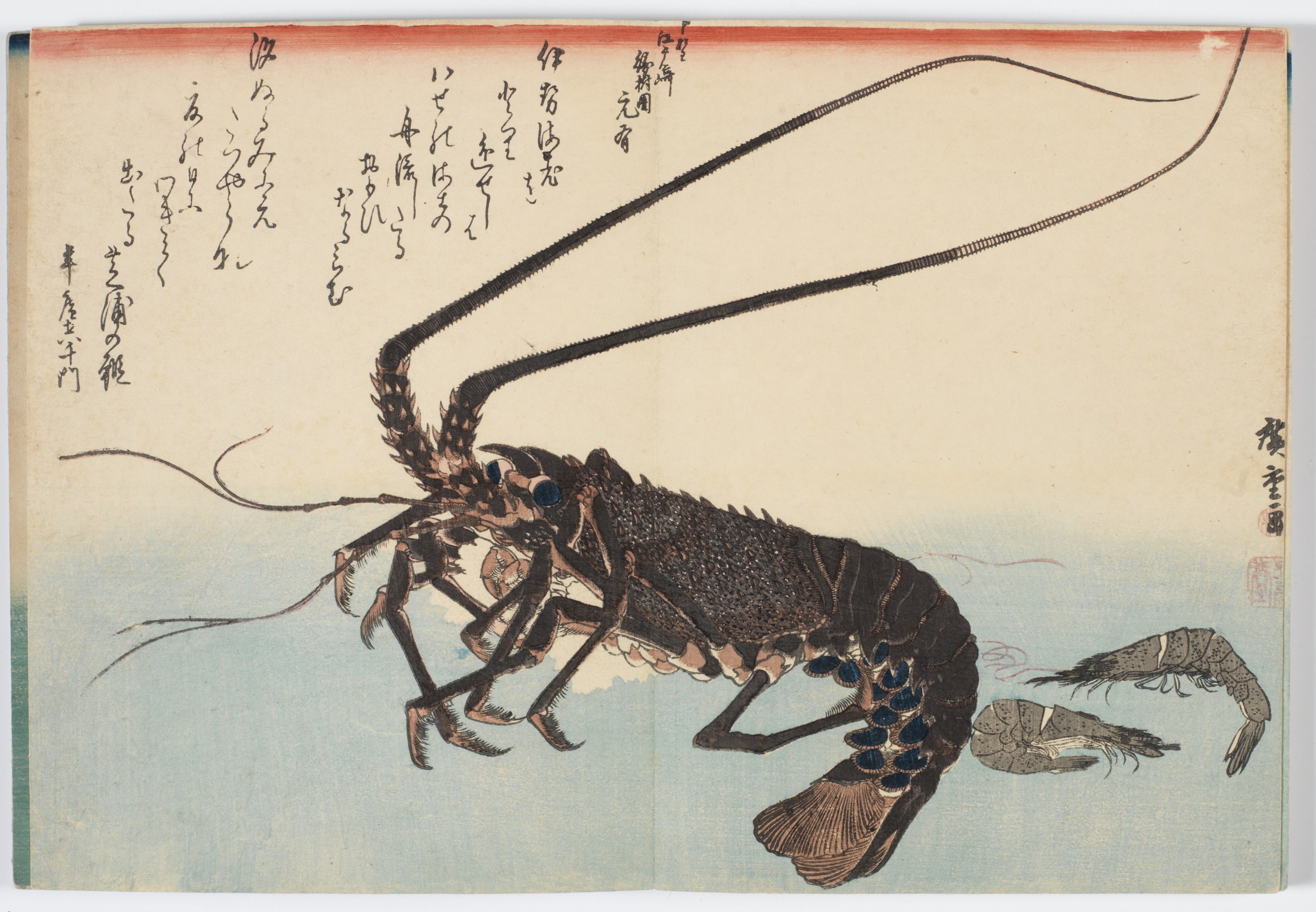 Utagawa Hiroshige — Полный набор из безымянной серии крупных рыб (Уозукуси), изображение 5