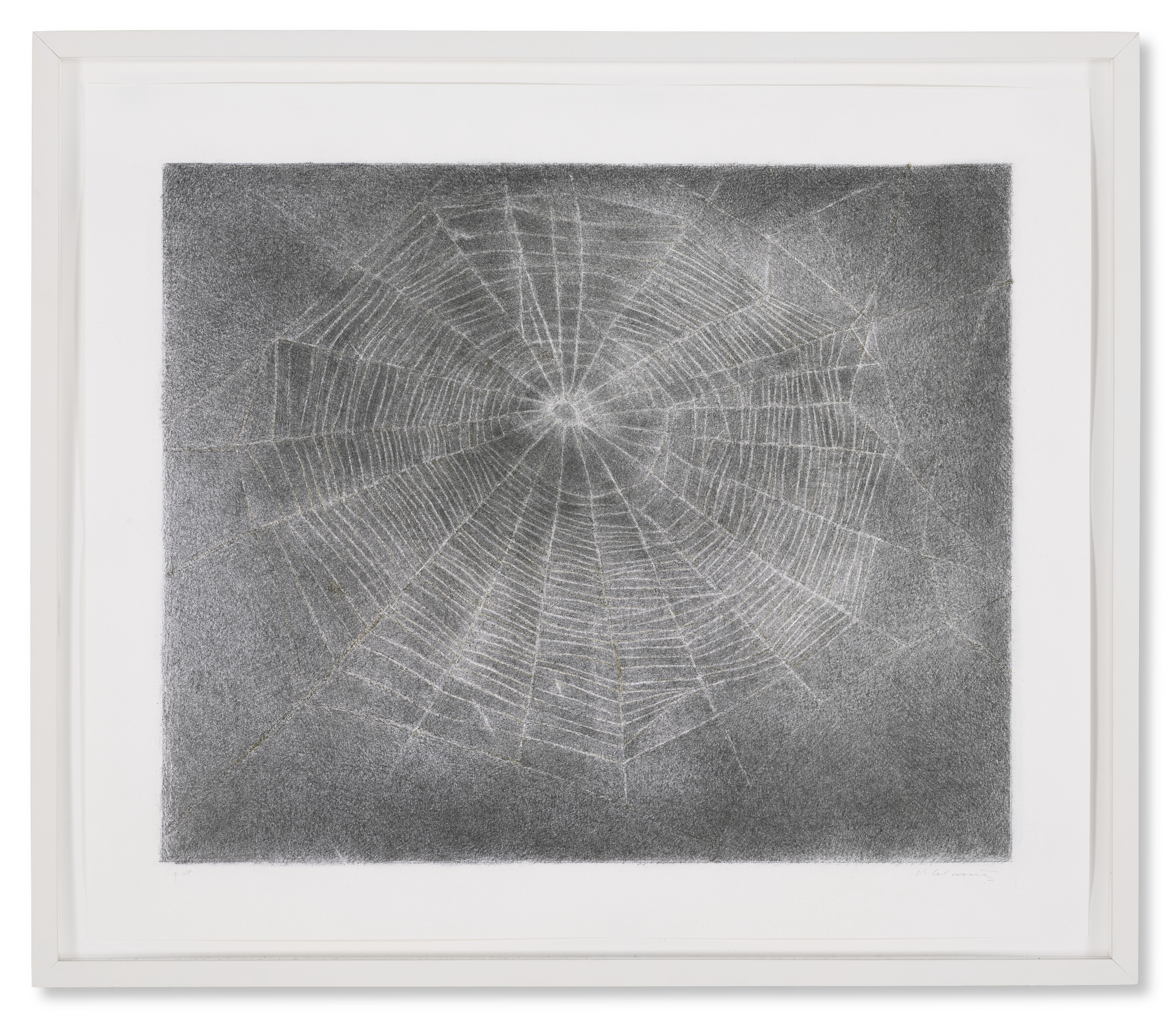 Vija Celmins — Сеть №10, изображение 2