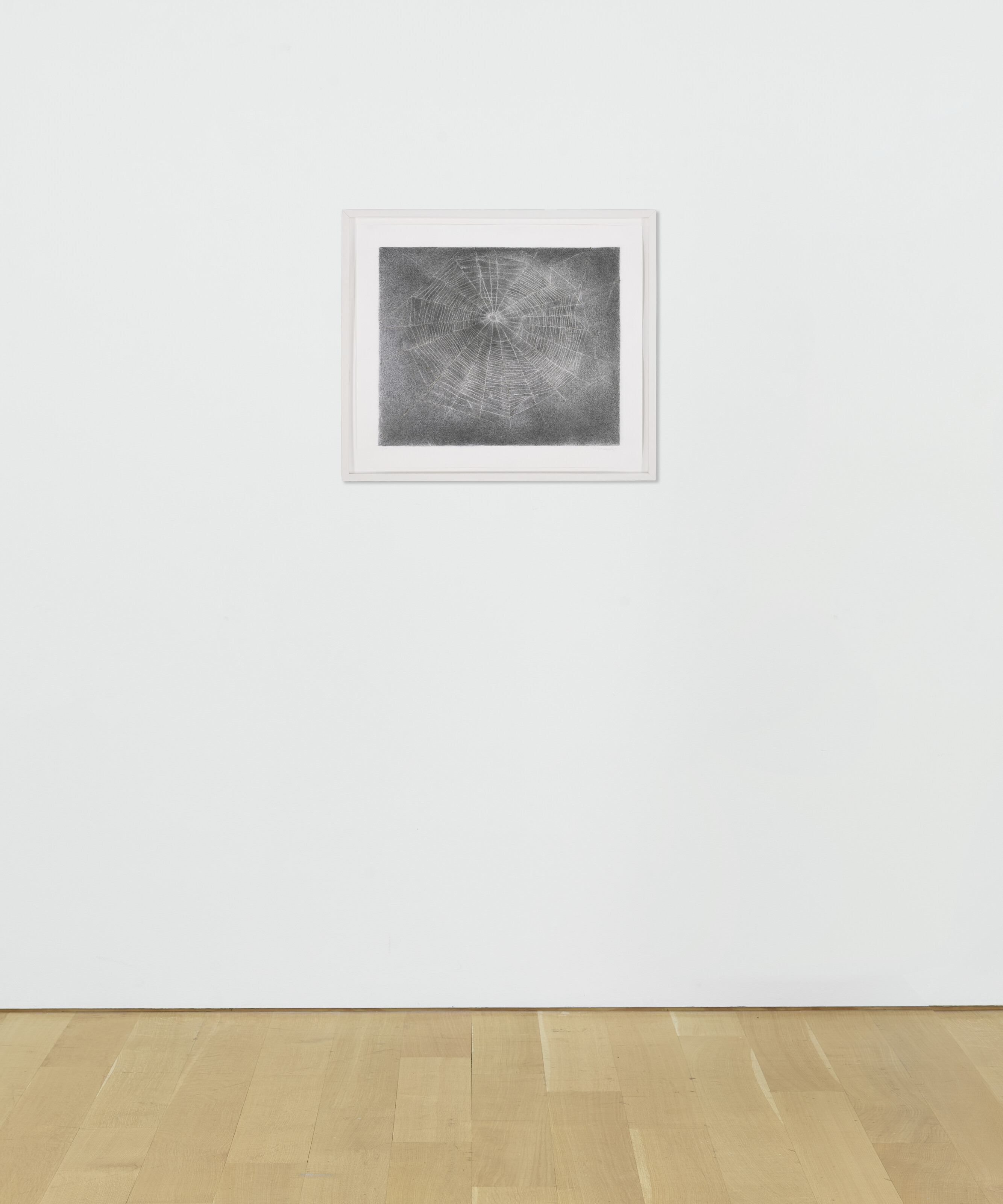 Vija Celmins — Сеть №10, изображение 3