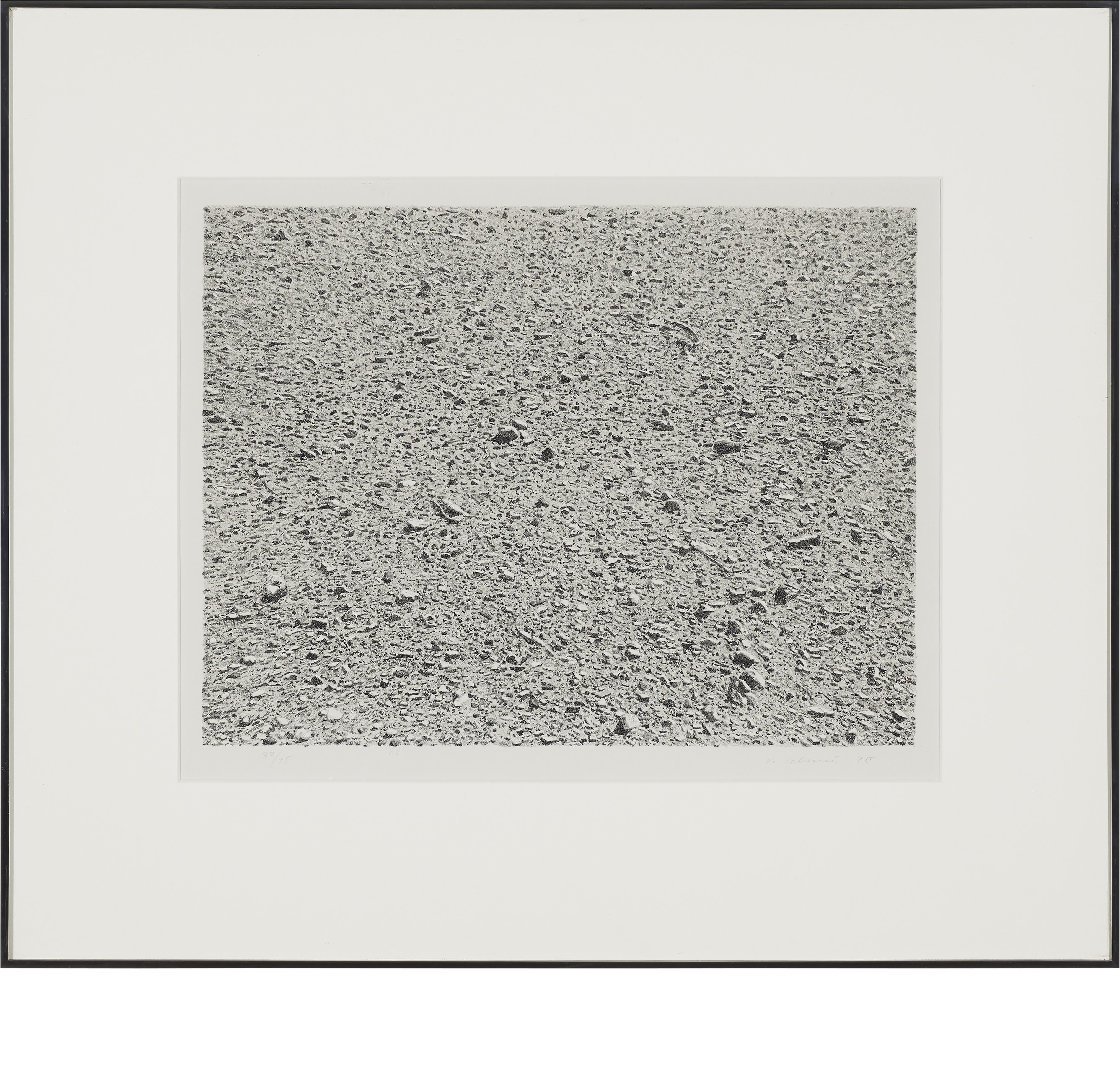 Vija Celmins — Портфолио без названия, изображение 5