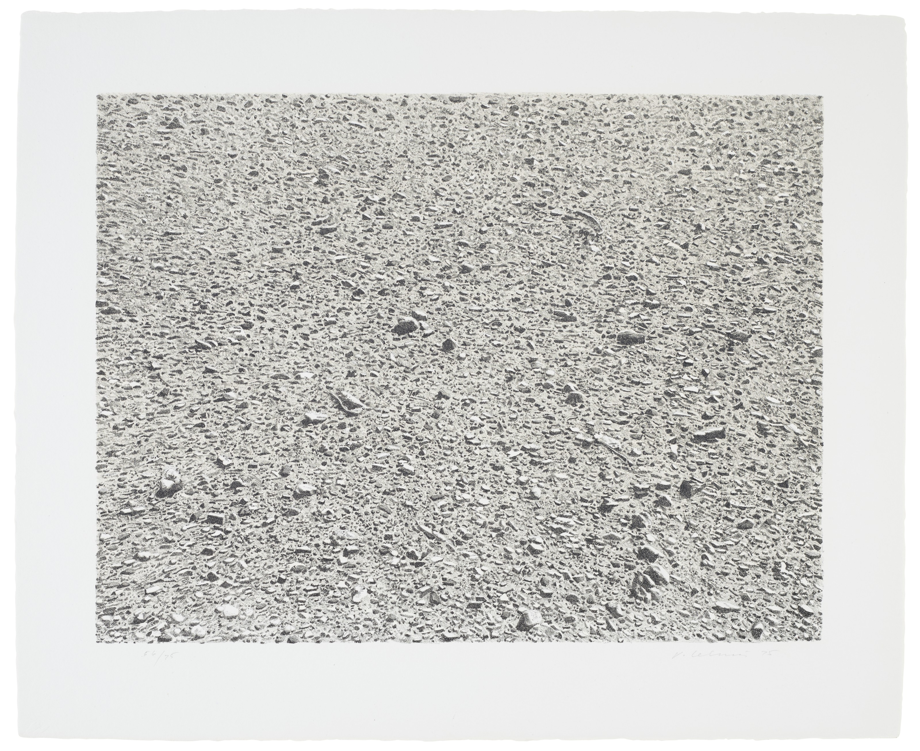 Vija Celmins — Портфолио без названия, изображение 4