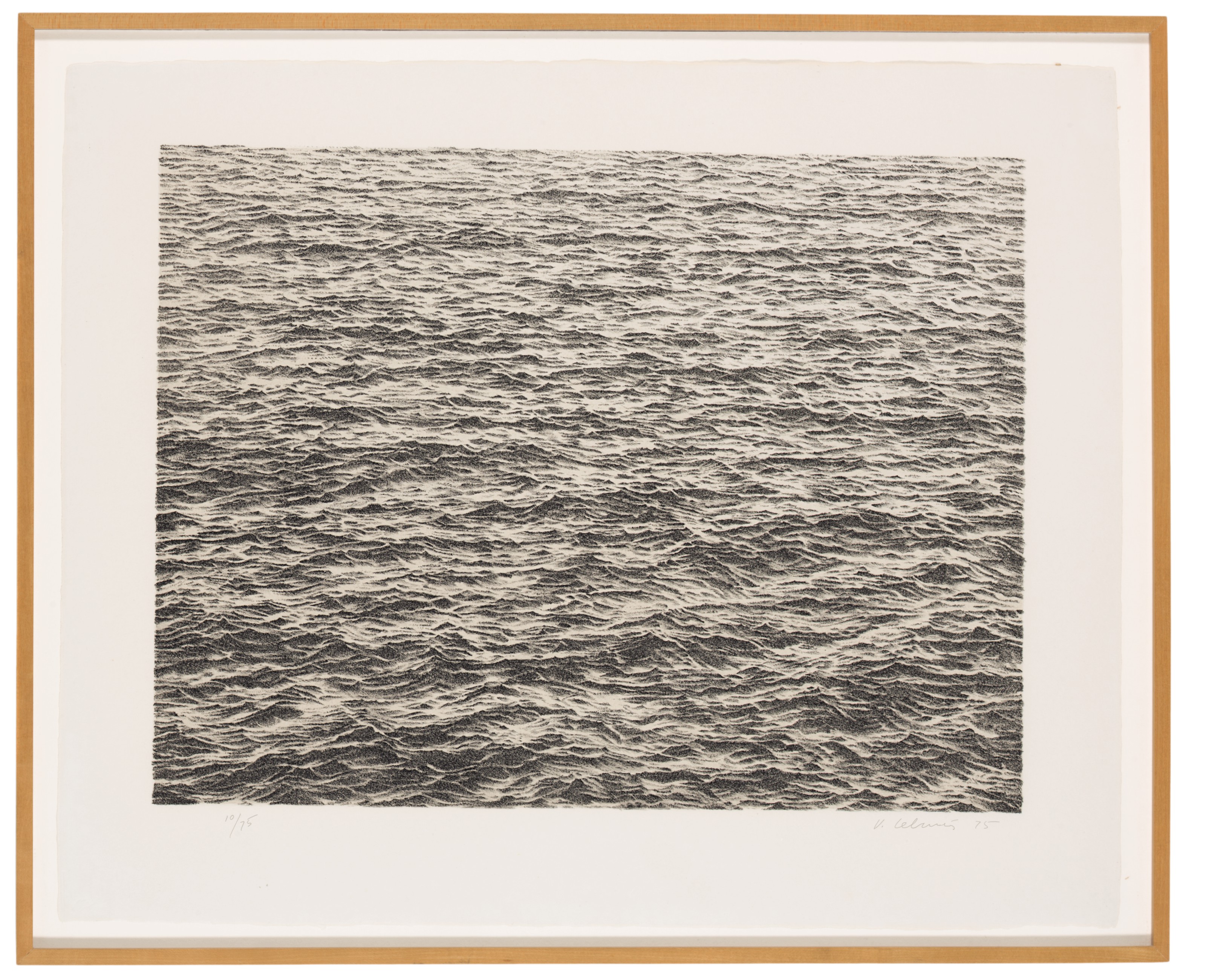 Vija Celmins — Порфолио без названия, изображение 9