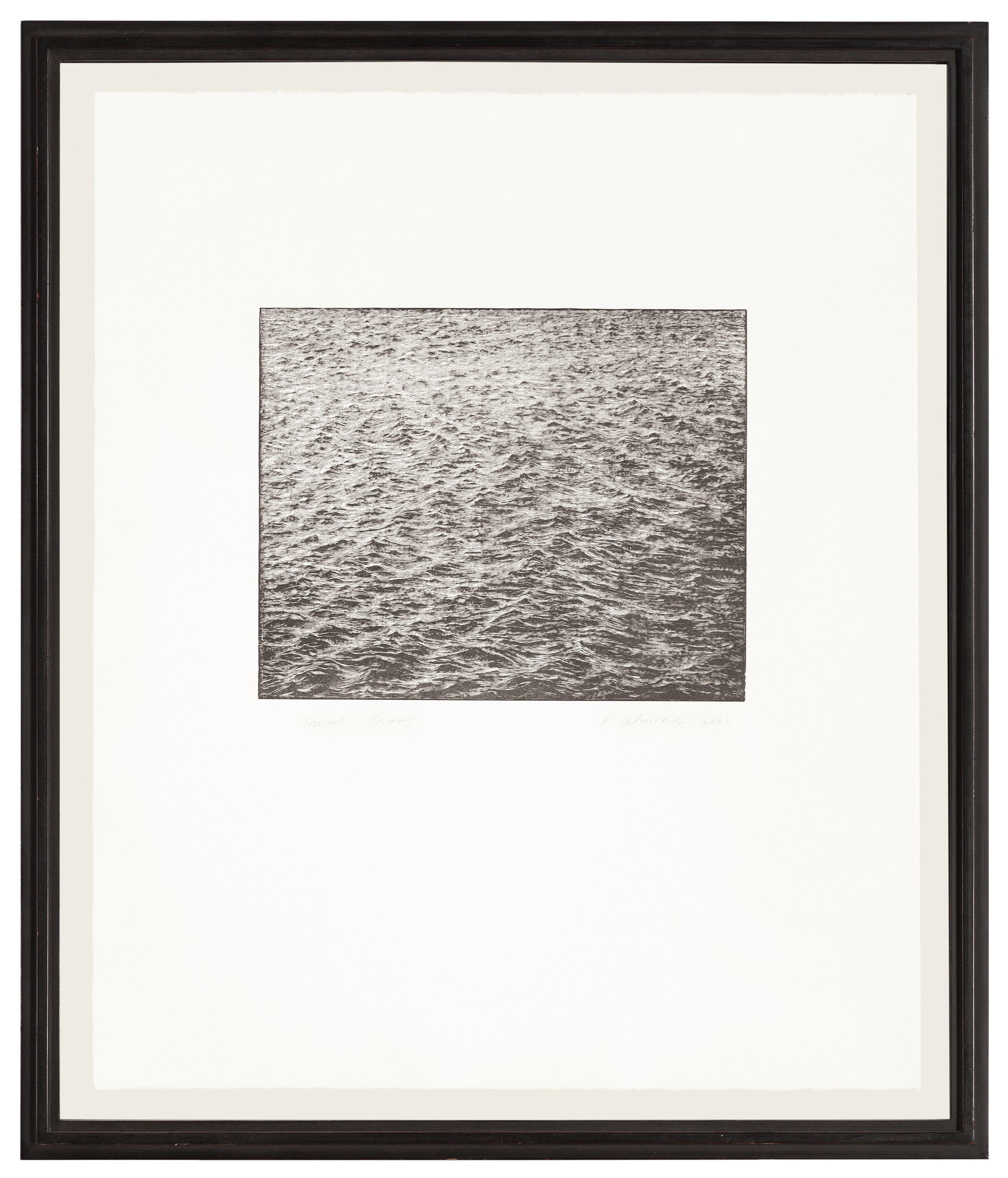 Vija Celmins — Поверхность океана в 2000 году, изображение 2