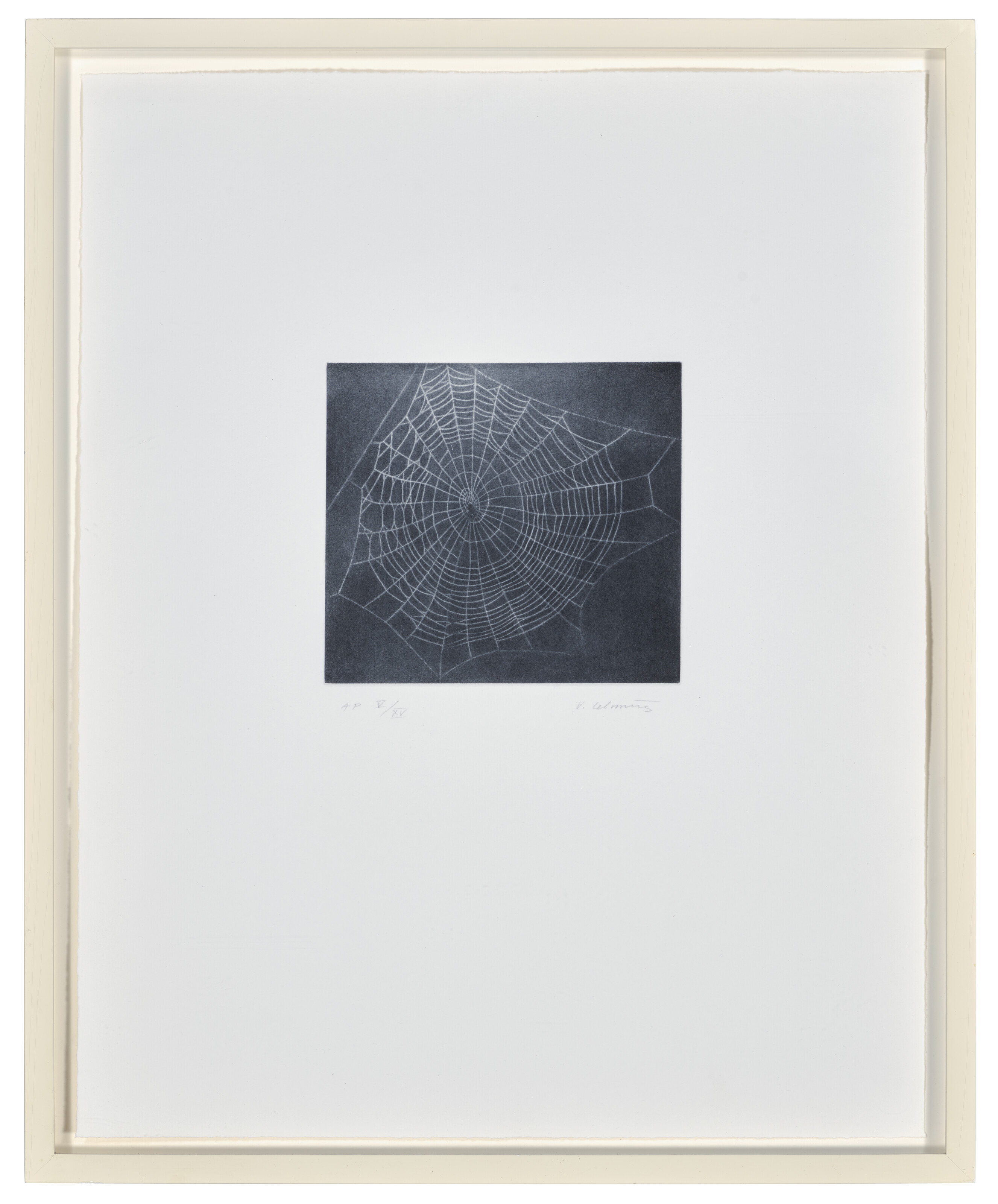 Vija Celmins — Без названия (Web 1), из портфолио MOCA, изображение 2