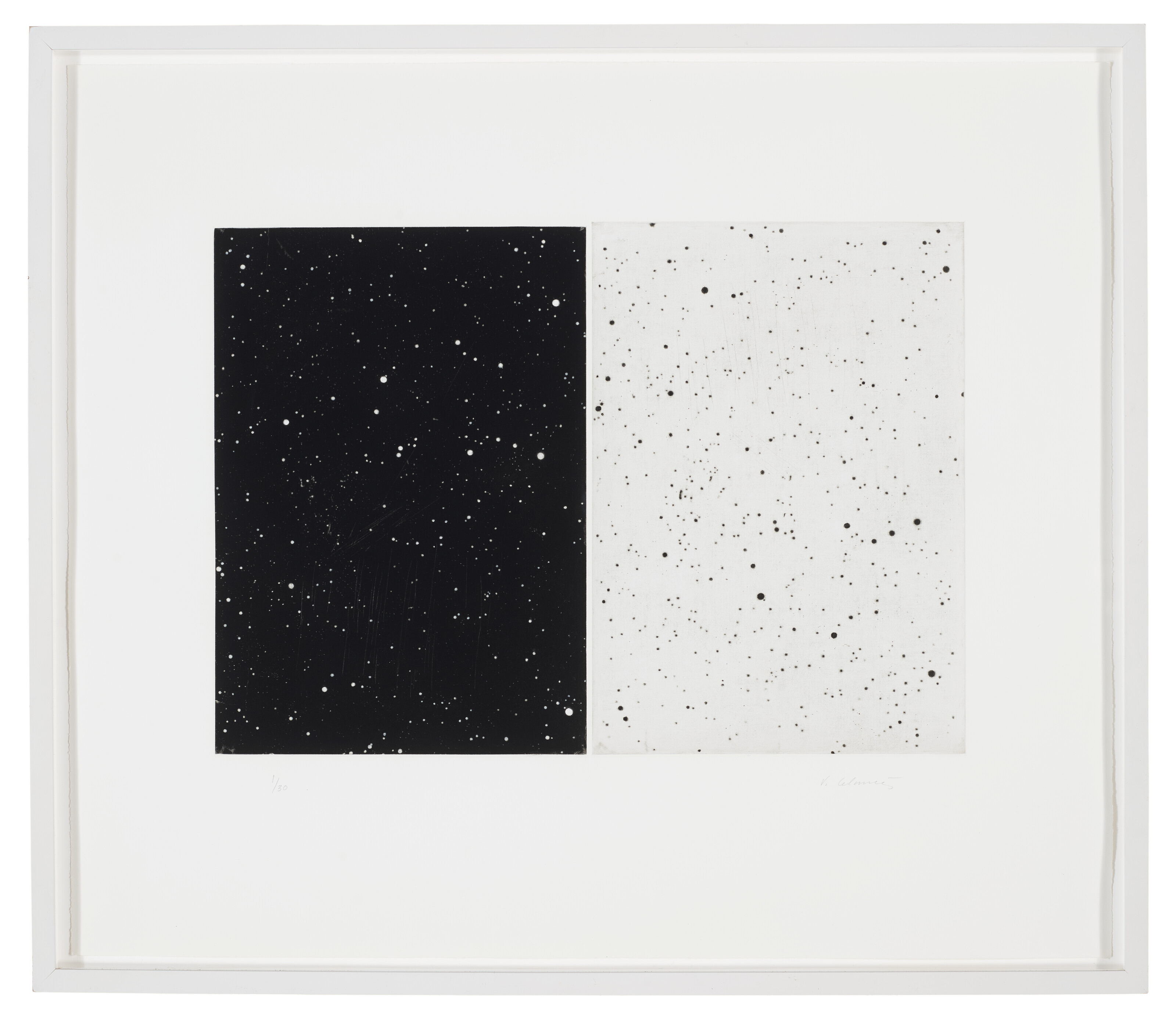 Vija Celmins — Черно-белый диптих, изображение 2
