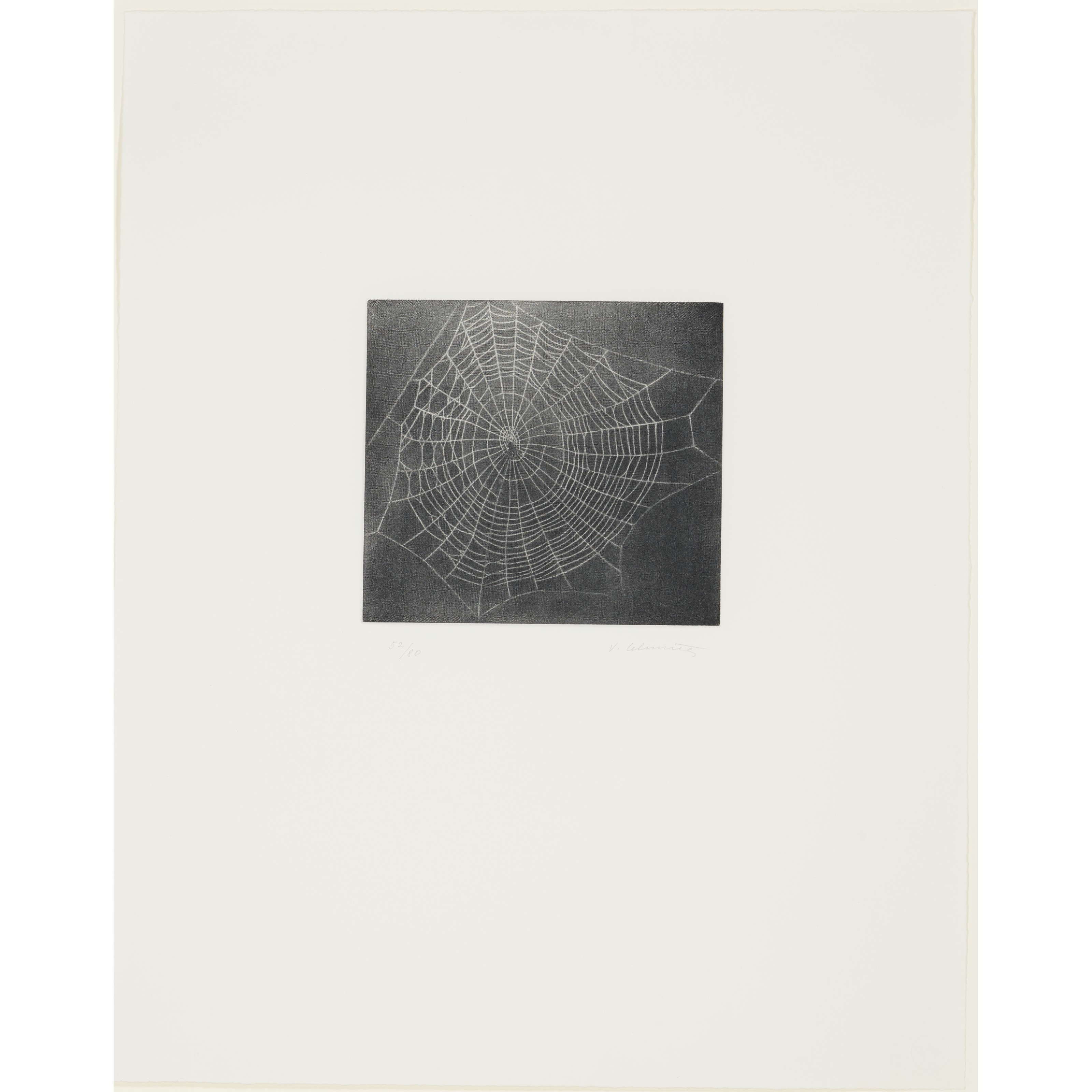 Vija Celmins — Без названия (Web 1), из портфолио MoCA