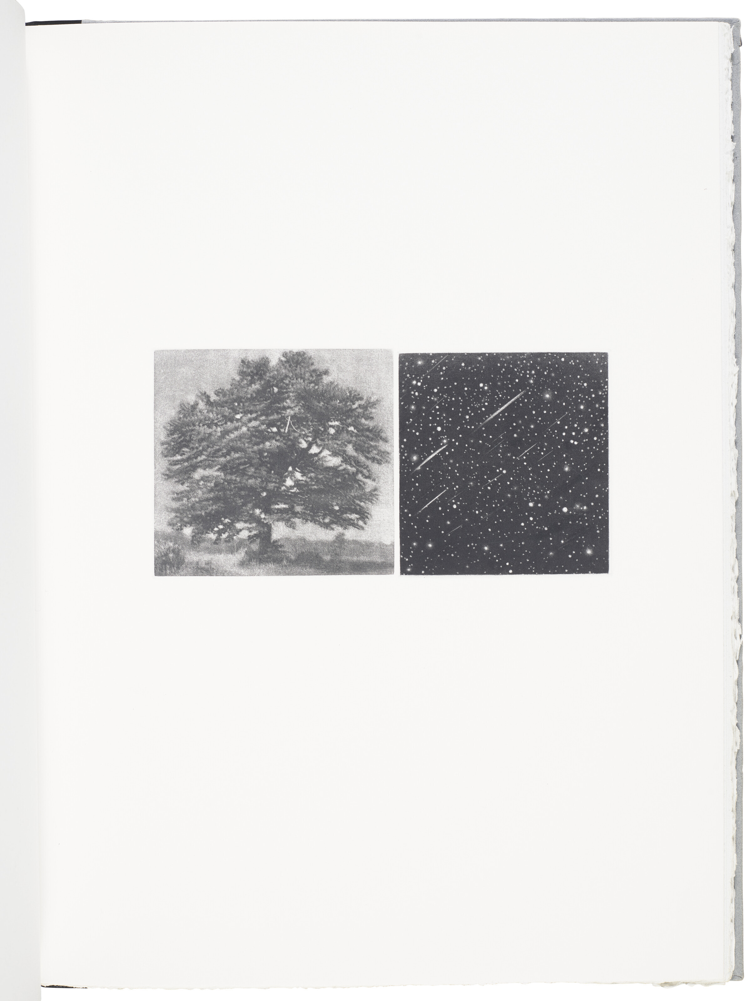 Vija Celmins — Вид из окна, изображение 2