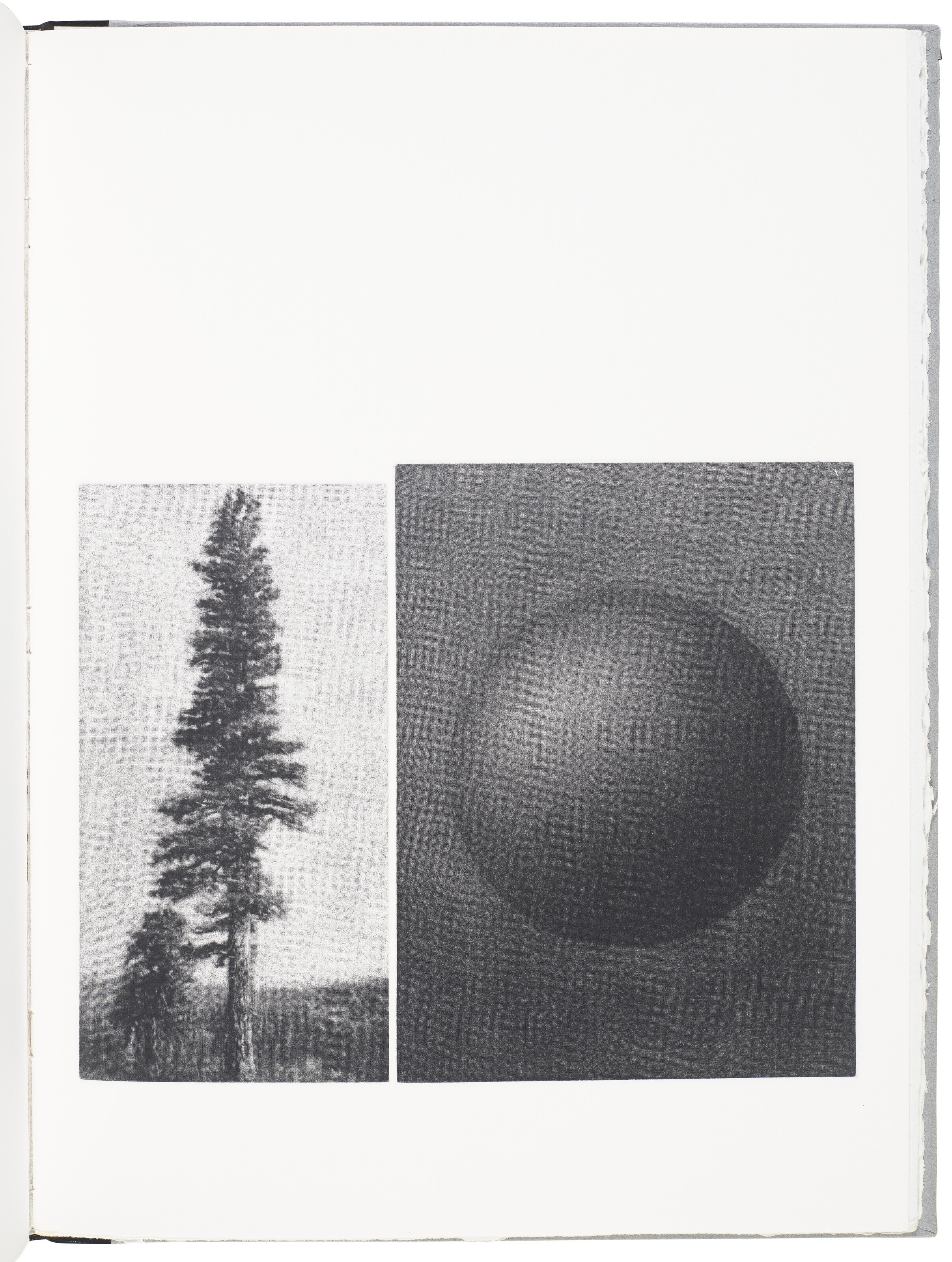 Vija Celmins — Вид из окна, изображение 3