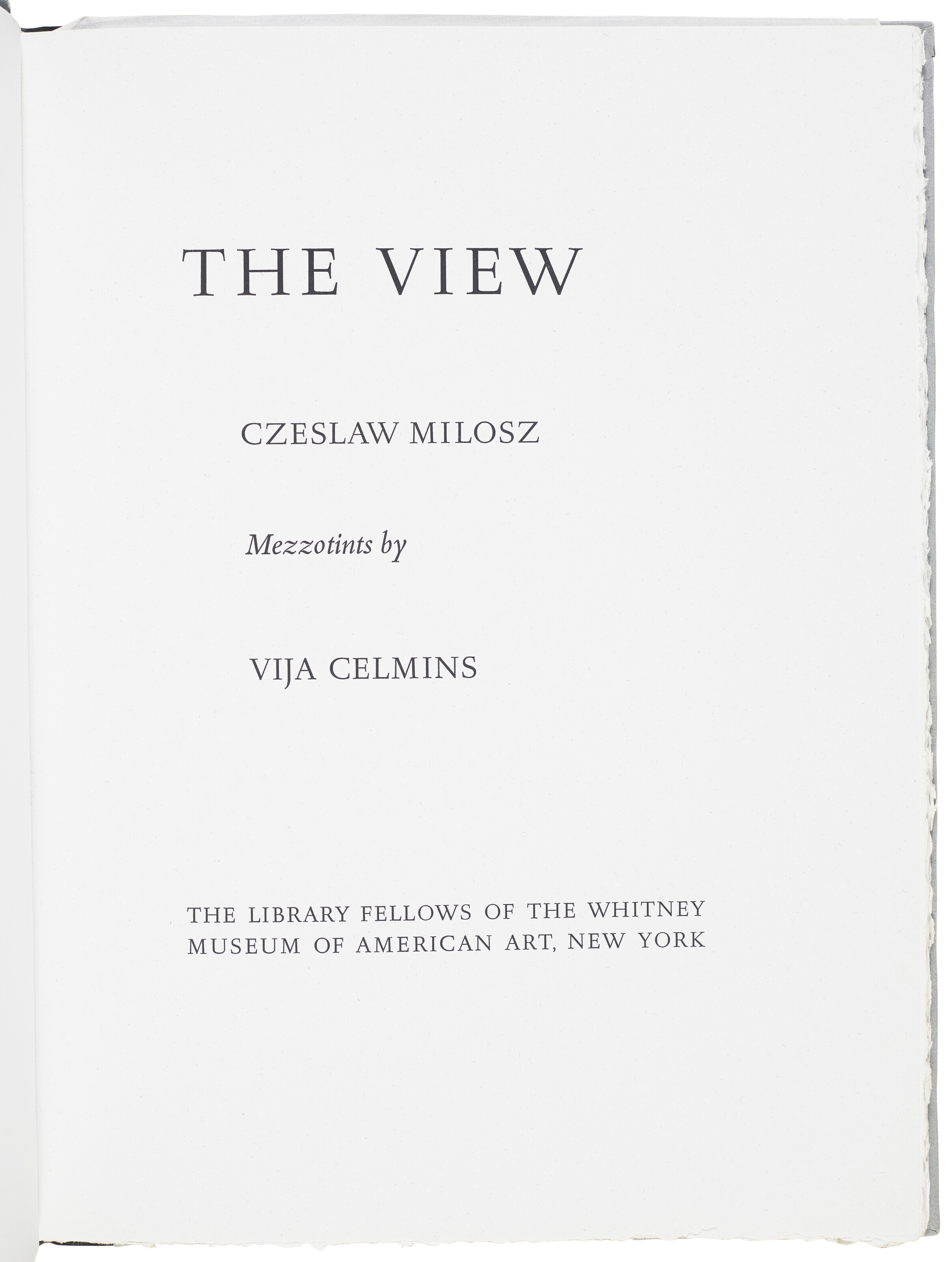 Vija Celmins — Вид из окна, изображение 6