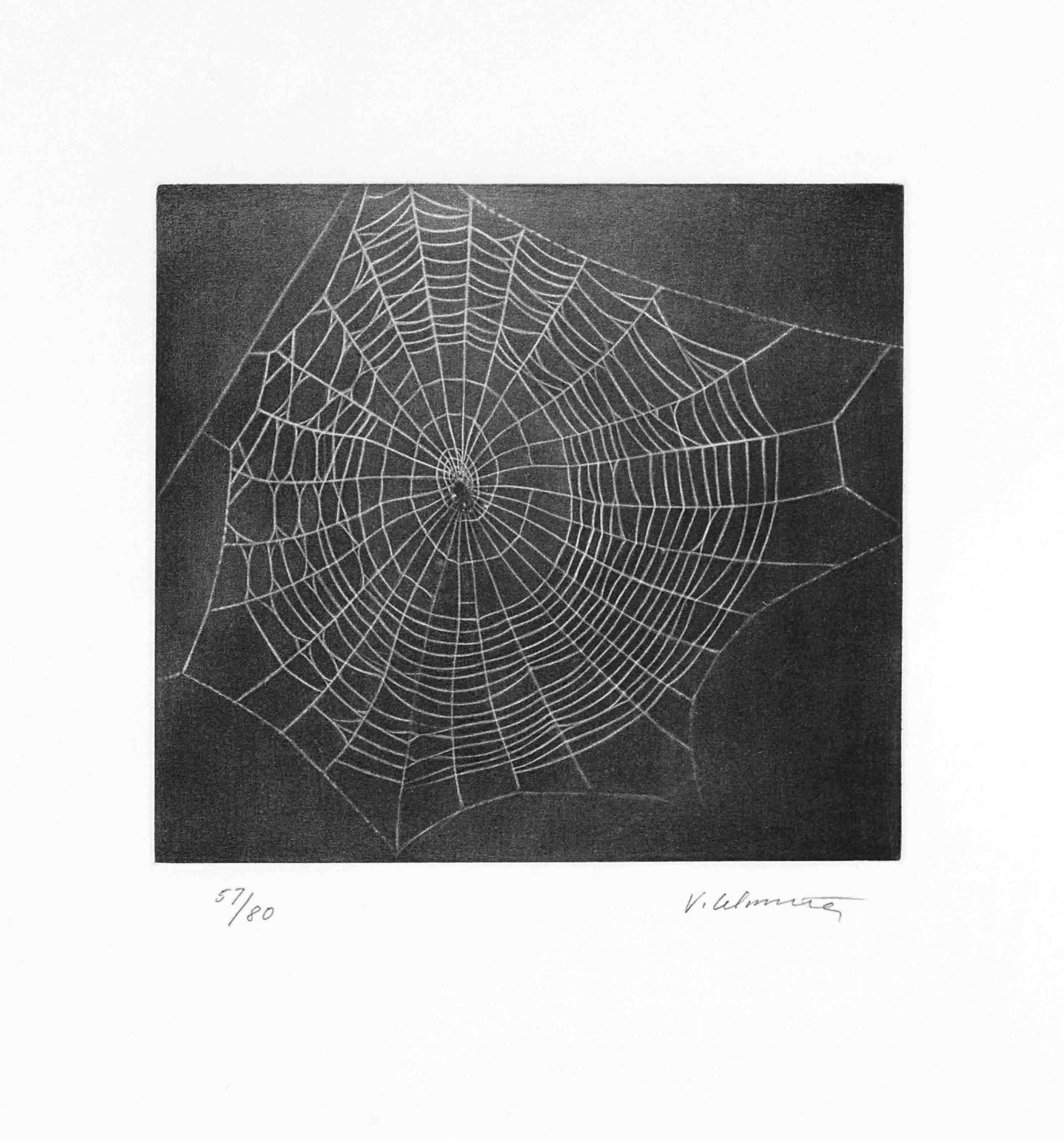 Vija Celmins — Без названия (Web 1), из портфолио MoCA