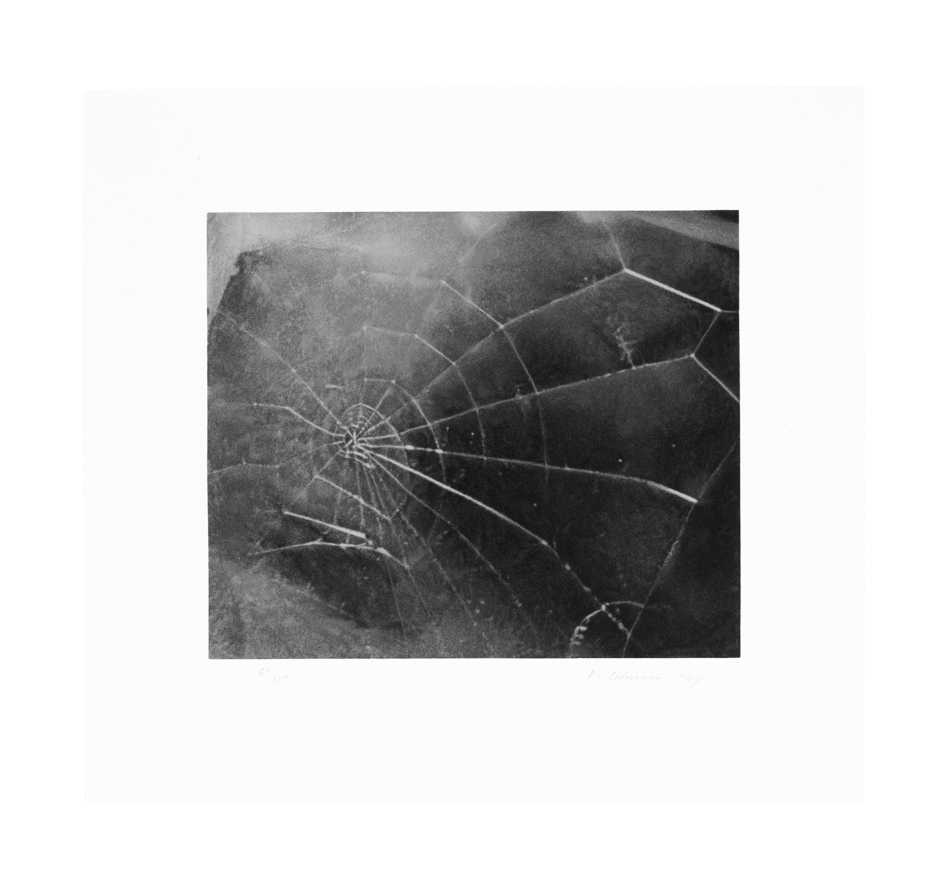 Vija Celmins — Паутина