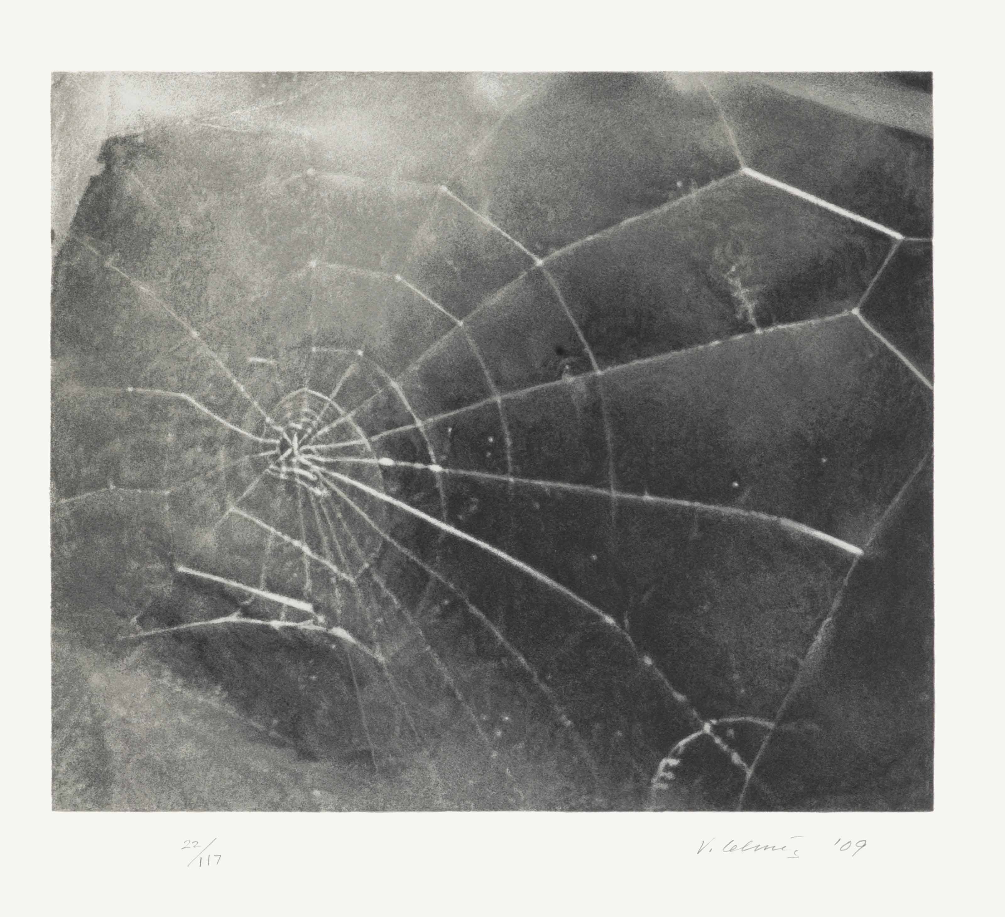 Vija Celmins — Паутина